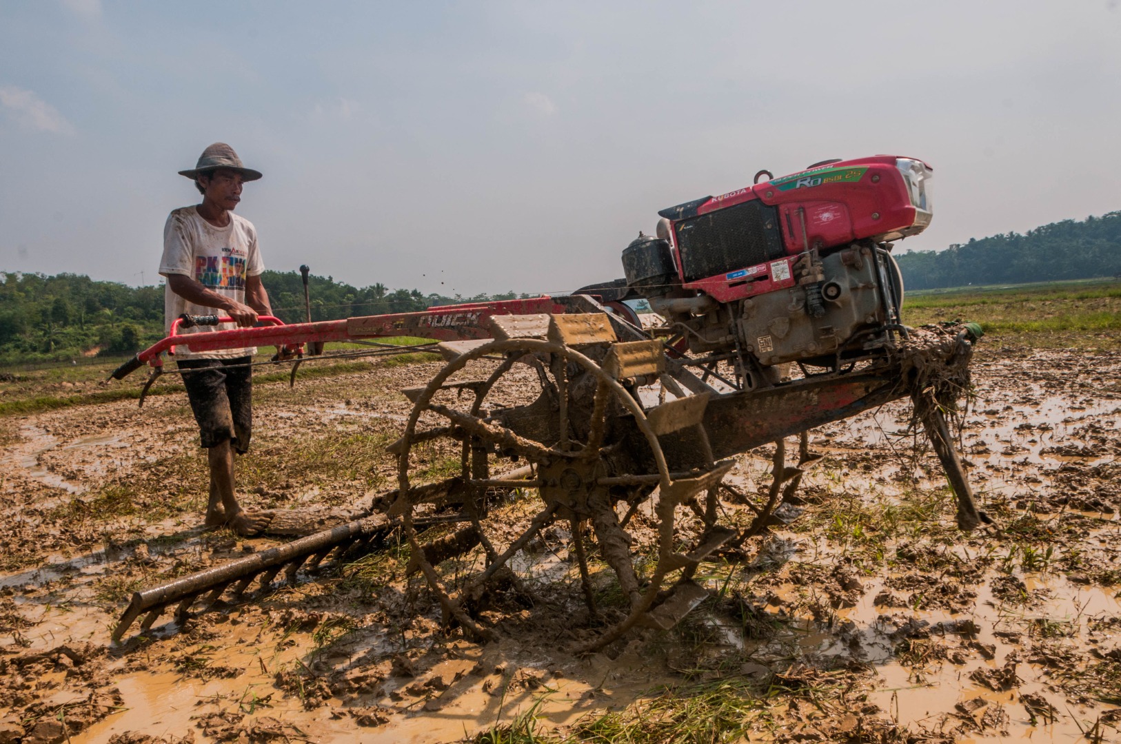 Tanam Padi Mengikuti Kalender Adat