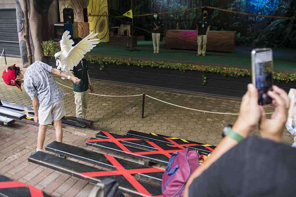 Kebun Binatang Bandung Dibuka Kembali