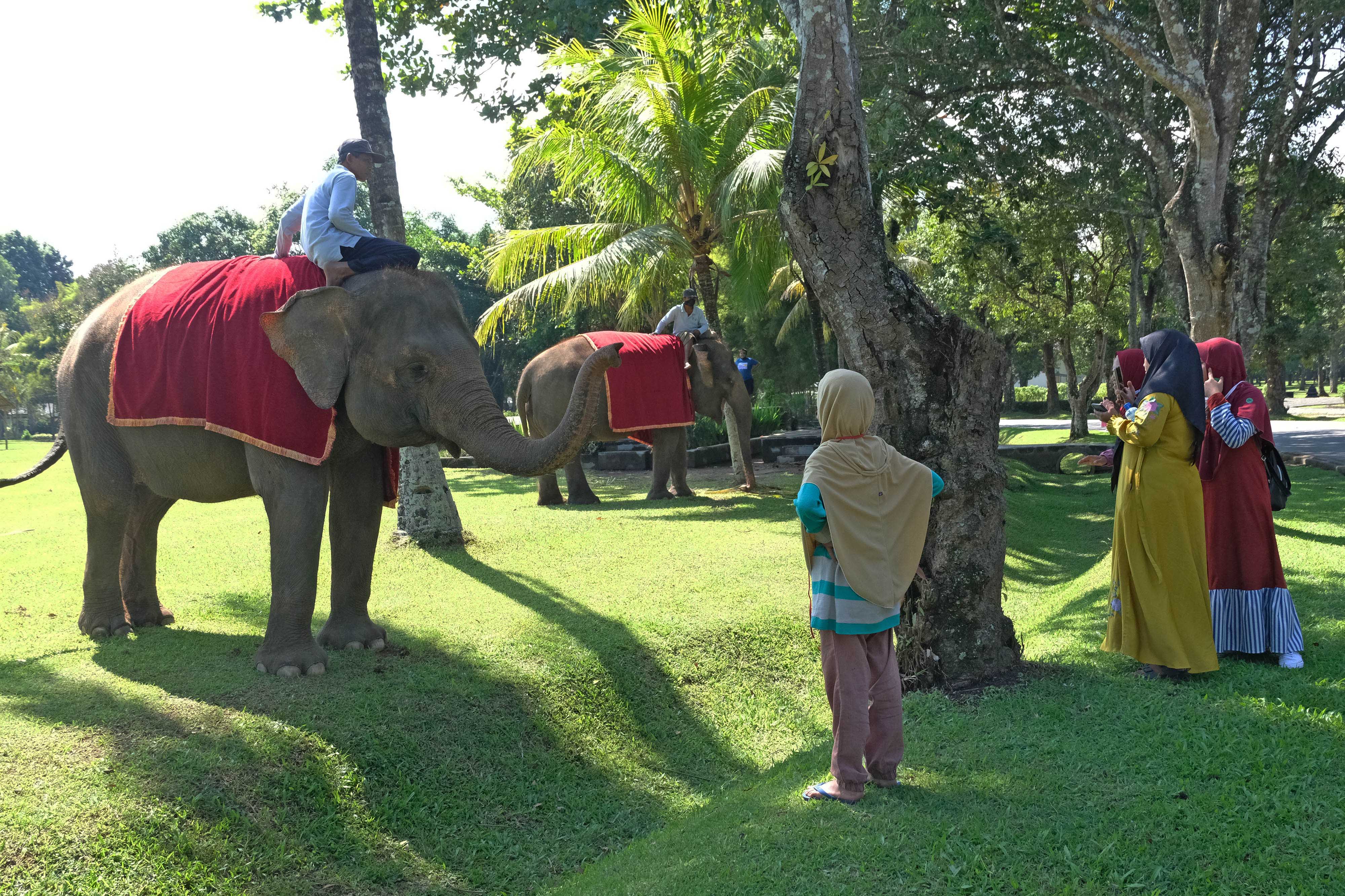 Dorong Sektor Pariwisata