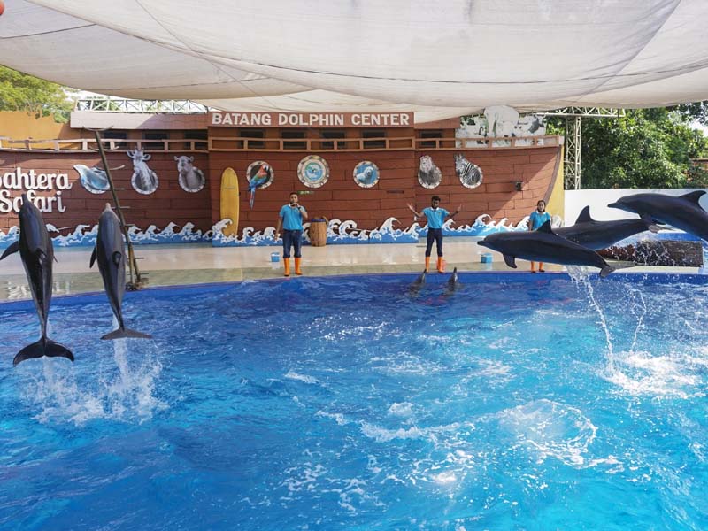 Simulasi Pembukaan Batang Dolphins Center