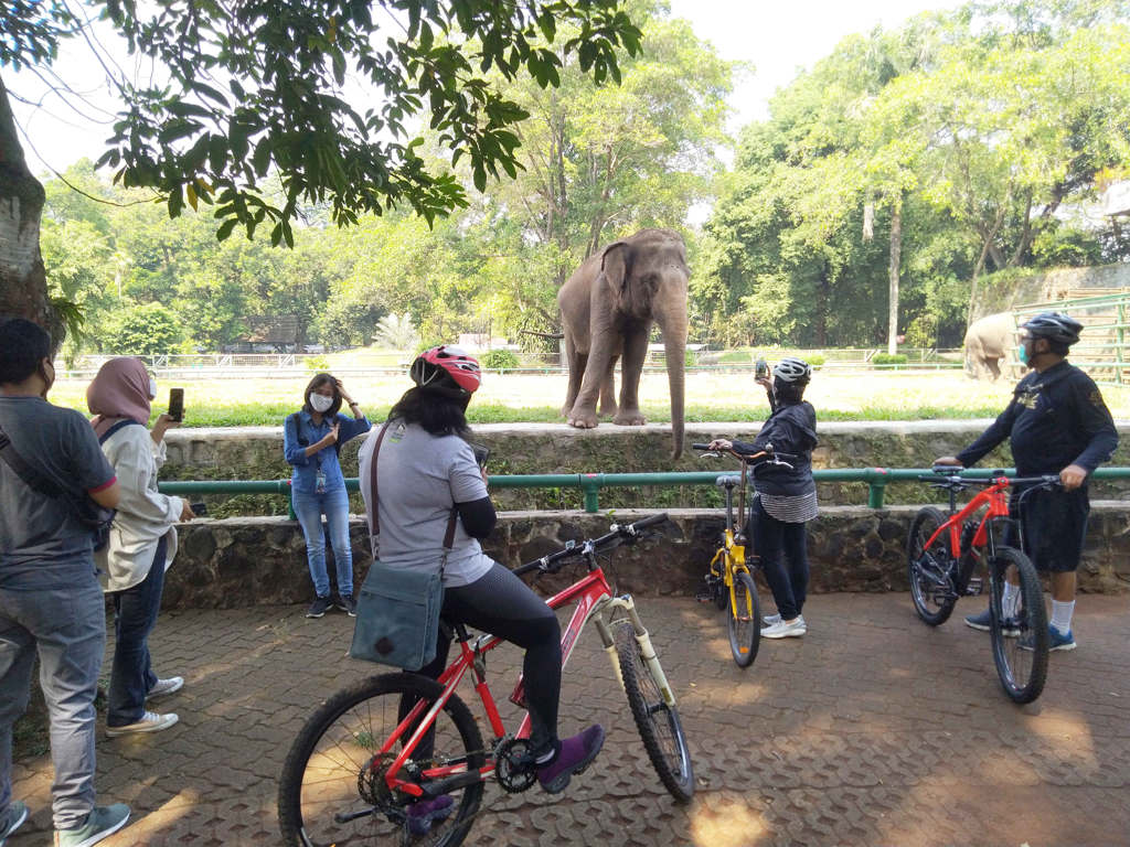Ragunan Mulai Dibuka Hari Ini 