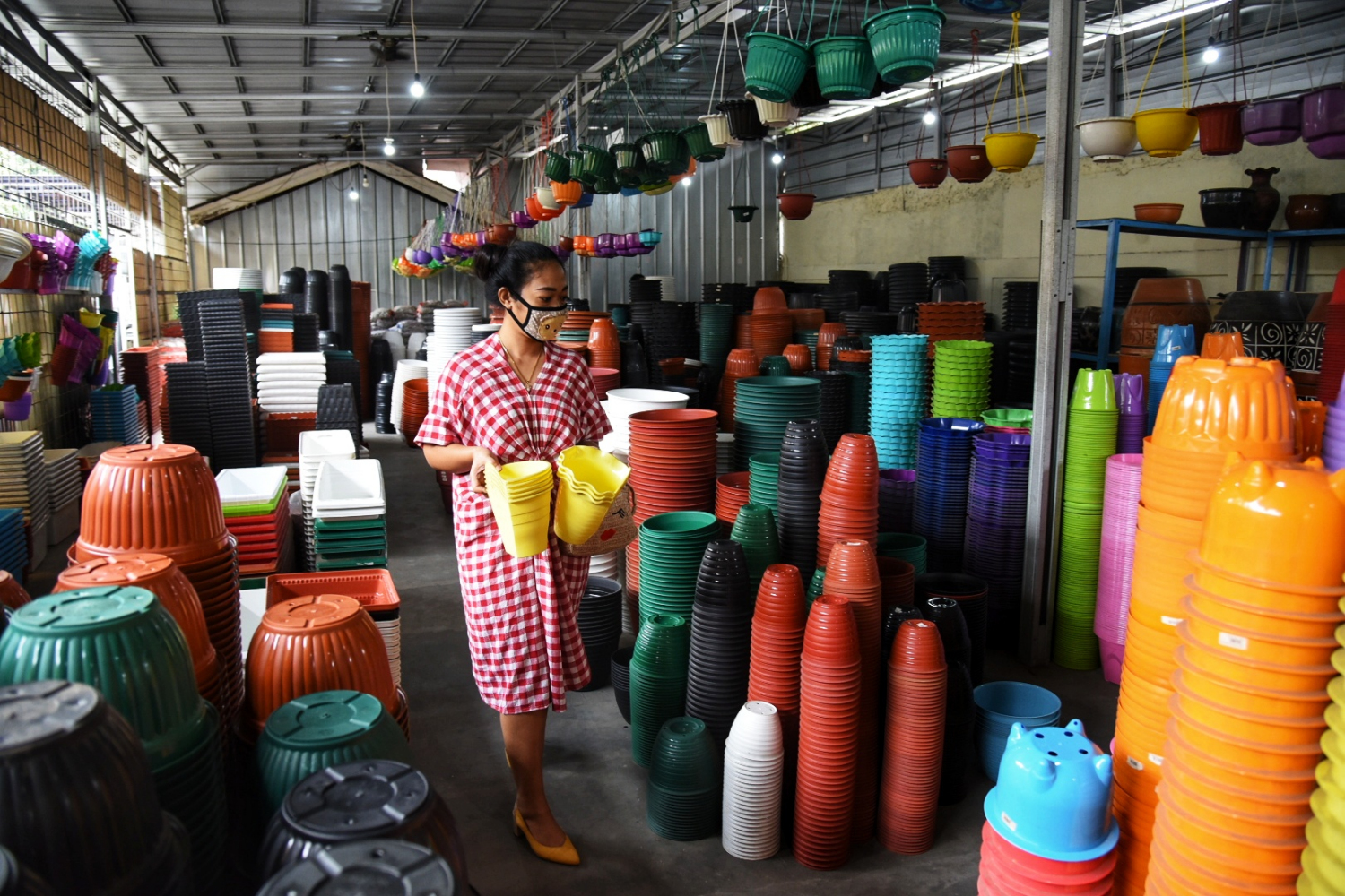 Tanaman Hias saat Pandemi Covid-19