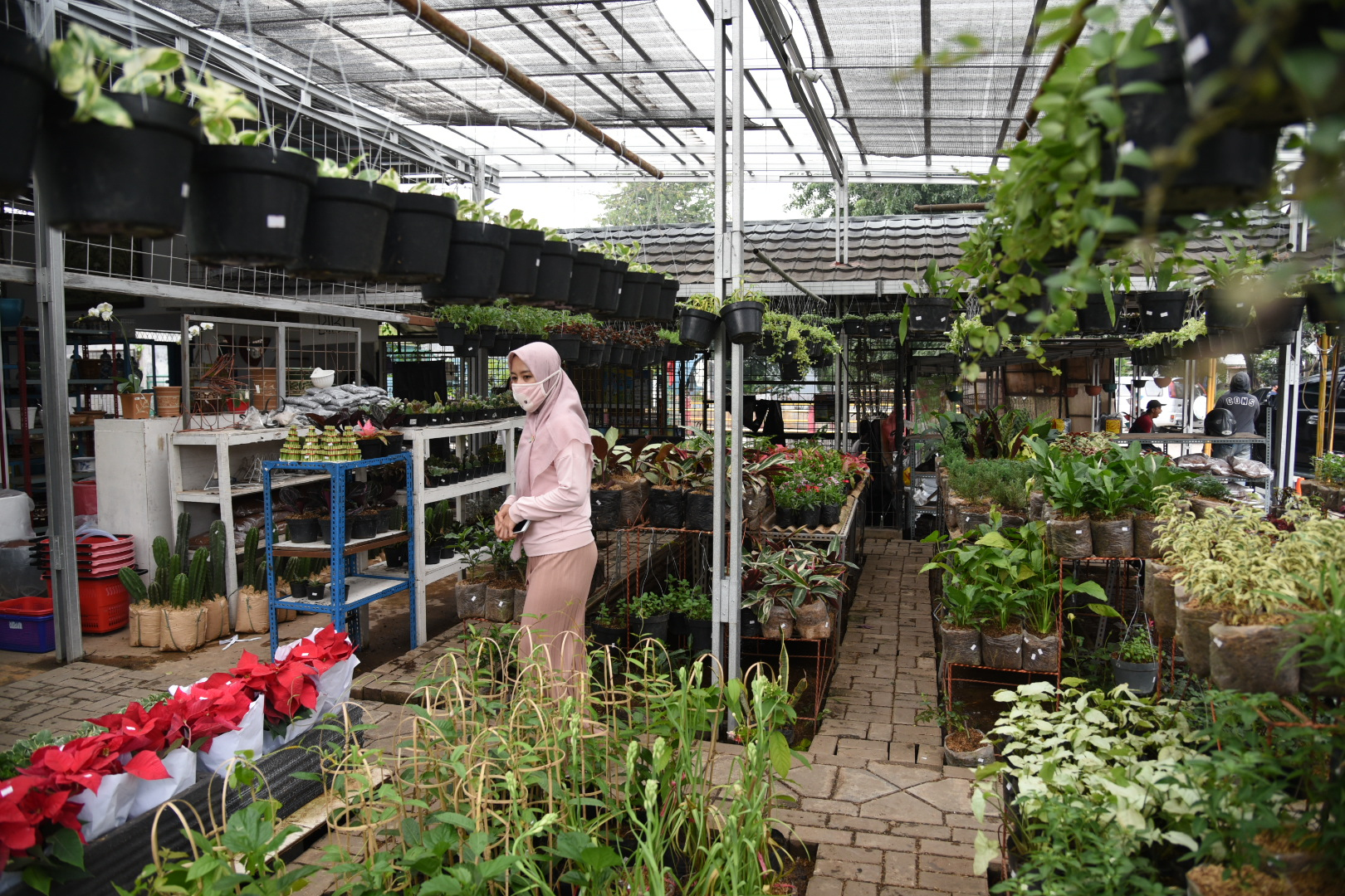 Tanaman Hias saat Pandemi Covid-19