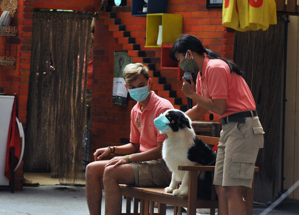 Pengunjung Duduk Berjarak di Taman Safari 