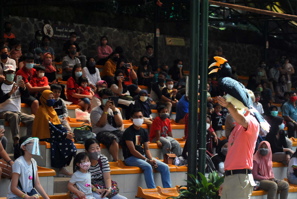Pengunjung Duduk Berjarak di Taman Safari 