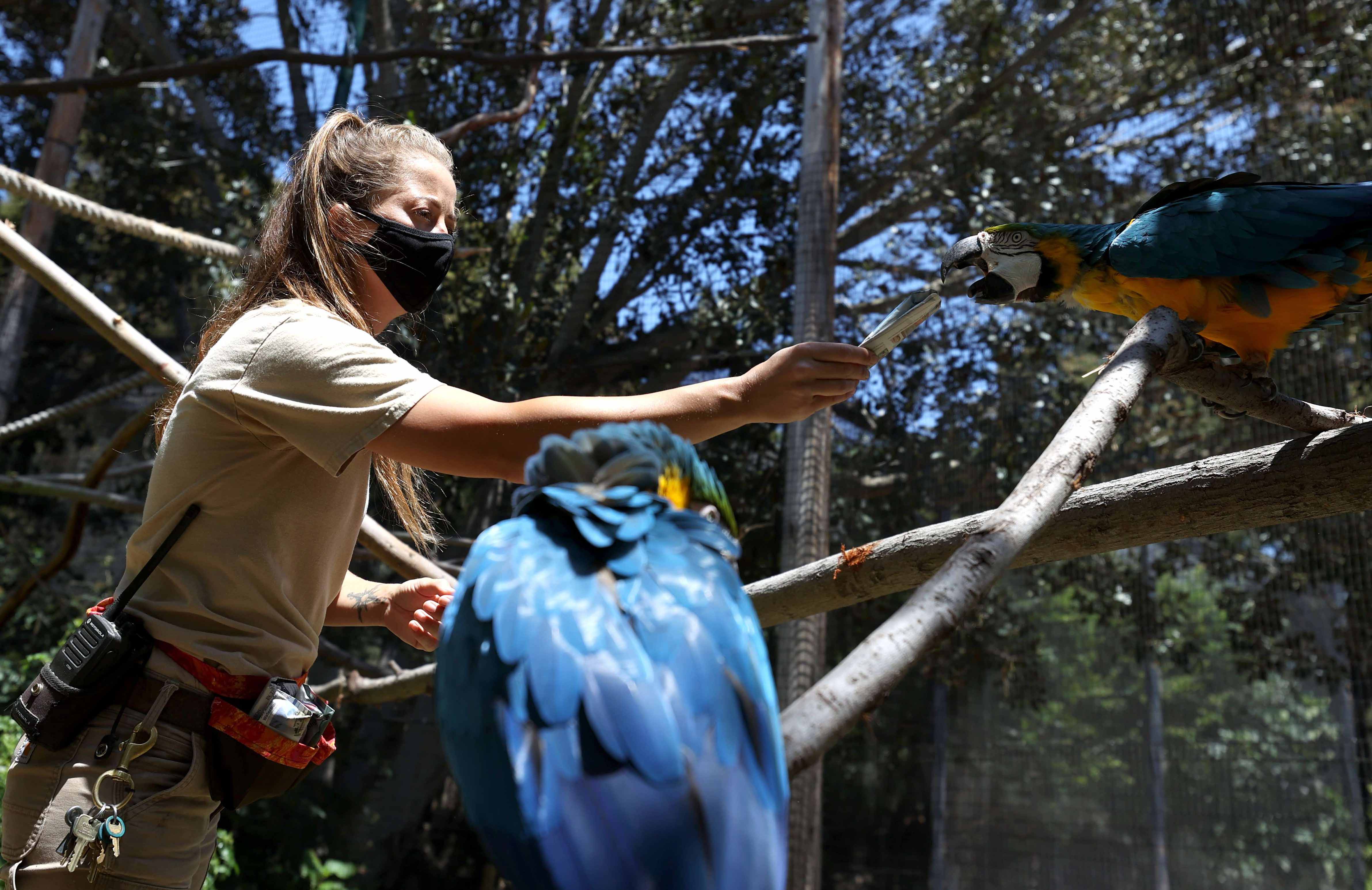 Kebun Binatang Oakland Terancam Tutup Akibat Covid-19
