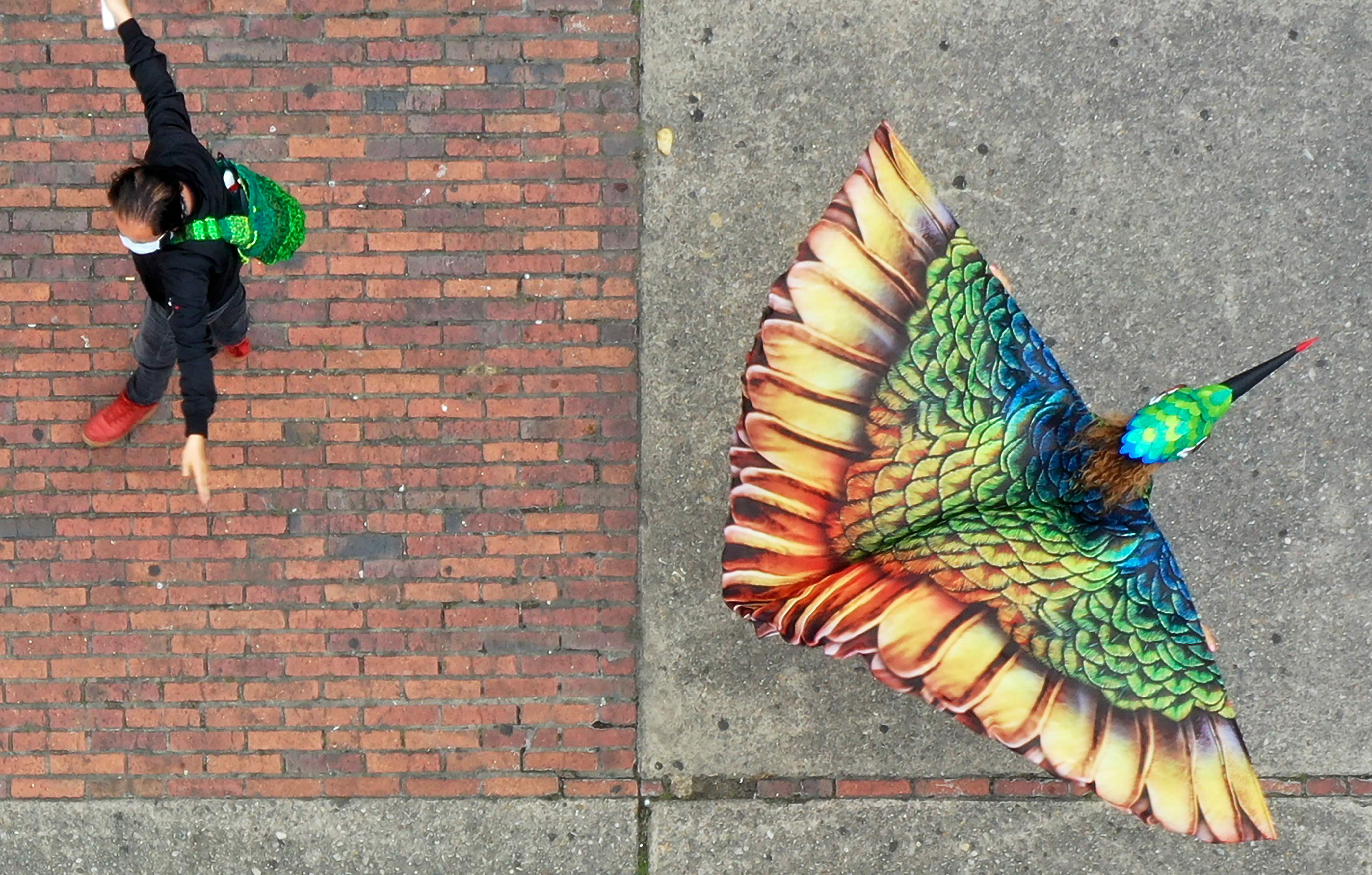 Kampanye Jaga Jarak Lewat Pertunjukan Burung Kolibri