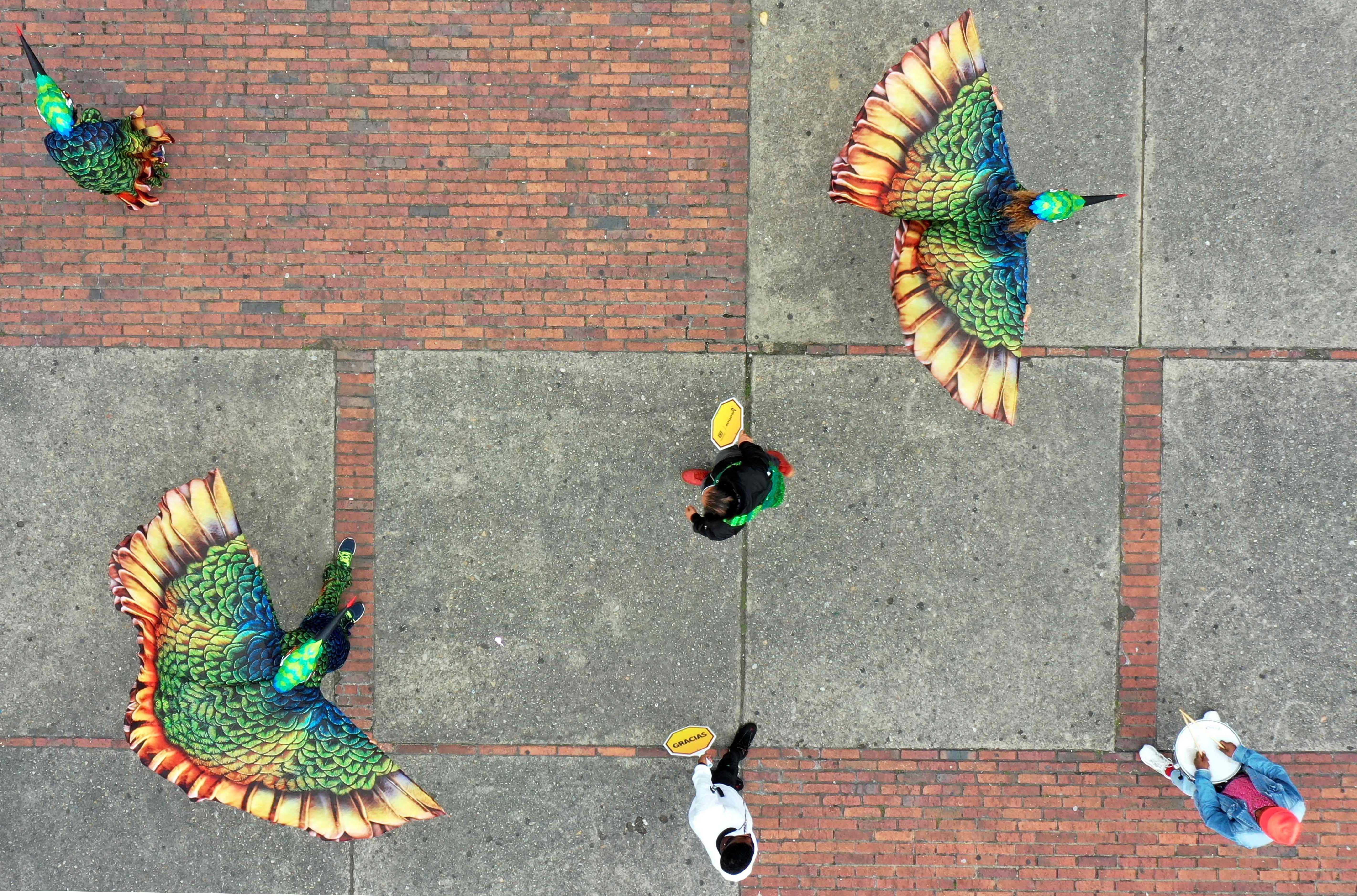 Kampanye Jaga Jarak Lewat Pertunjukan Burung Kolibri
