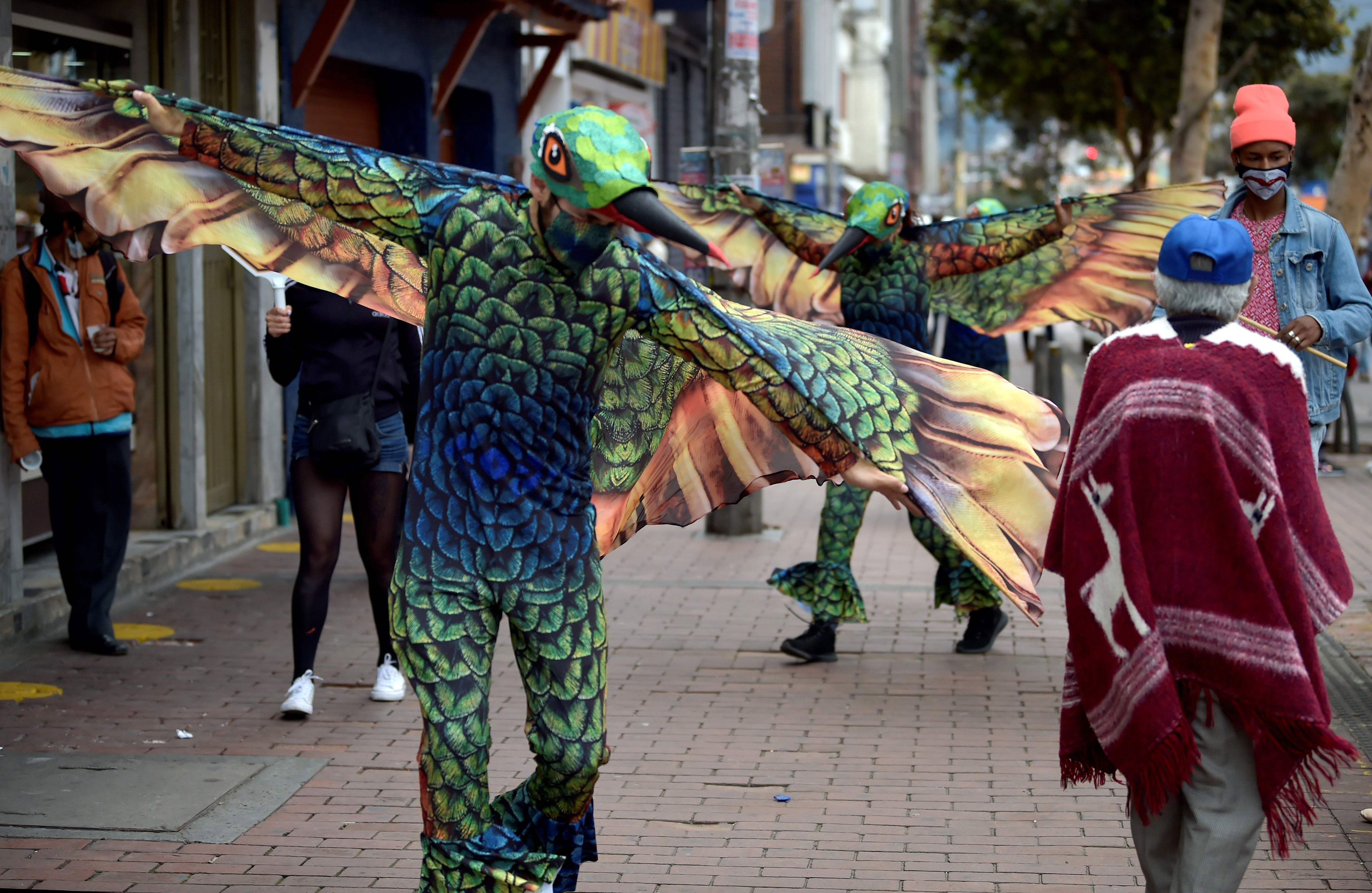 Kampanye Jaga Jarak Lewat Pertunjukan Burung Kolibri