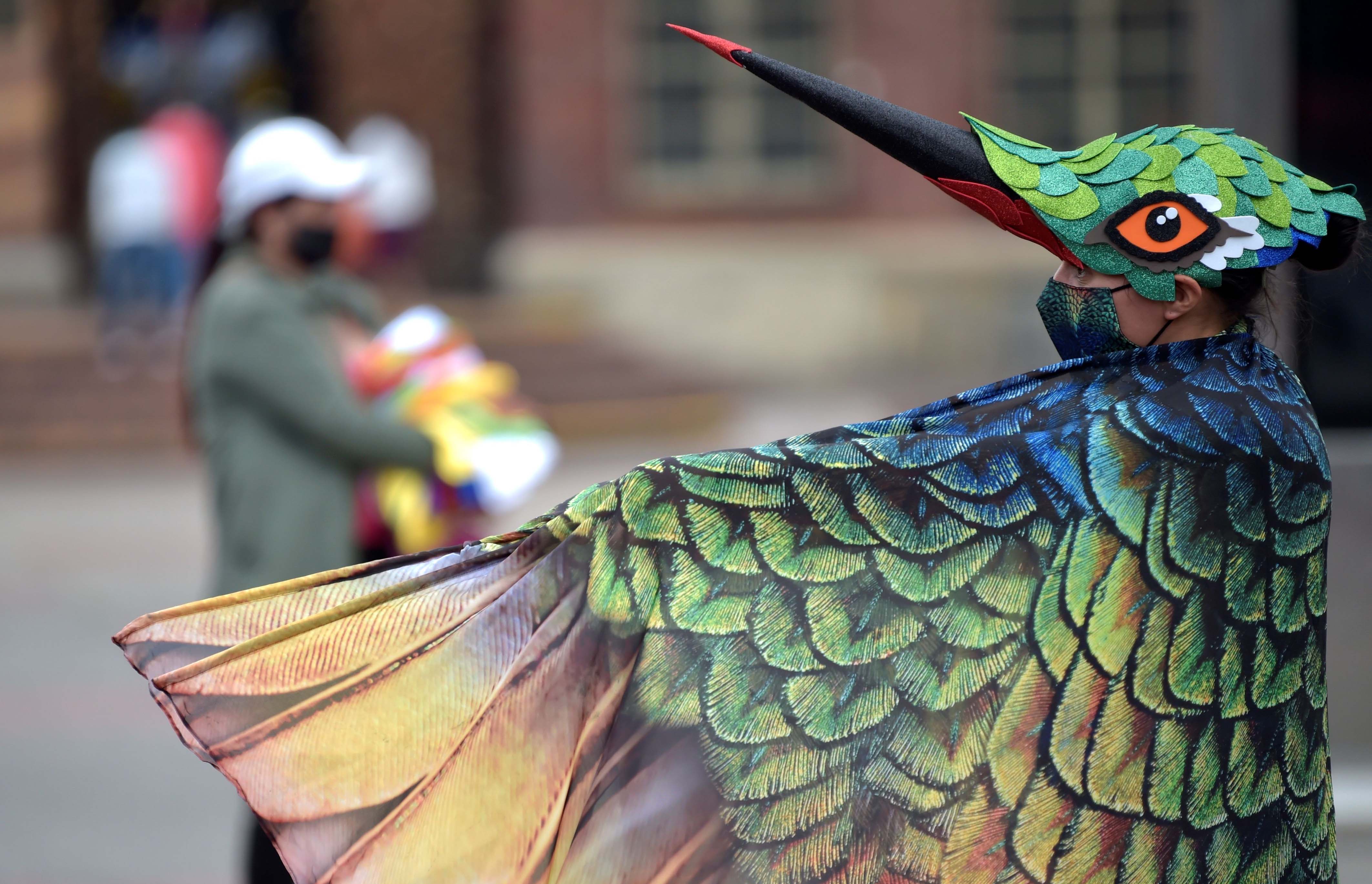 Kampanye Jaga Jarak Lewat Pertunjukan Burung Kolibri