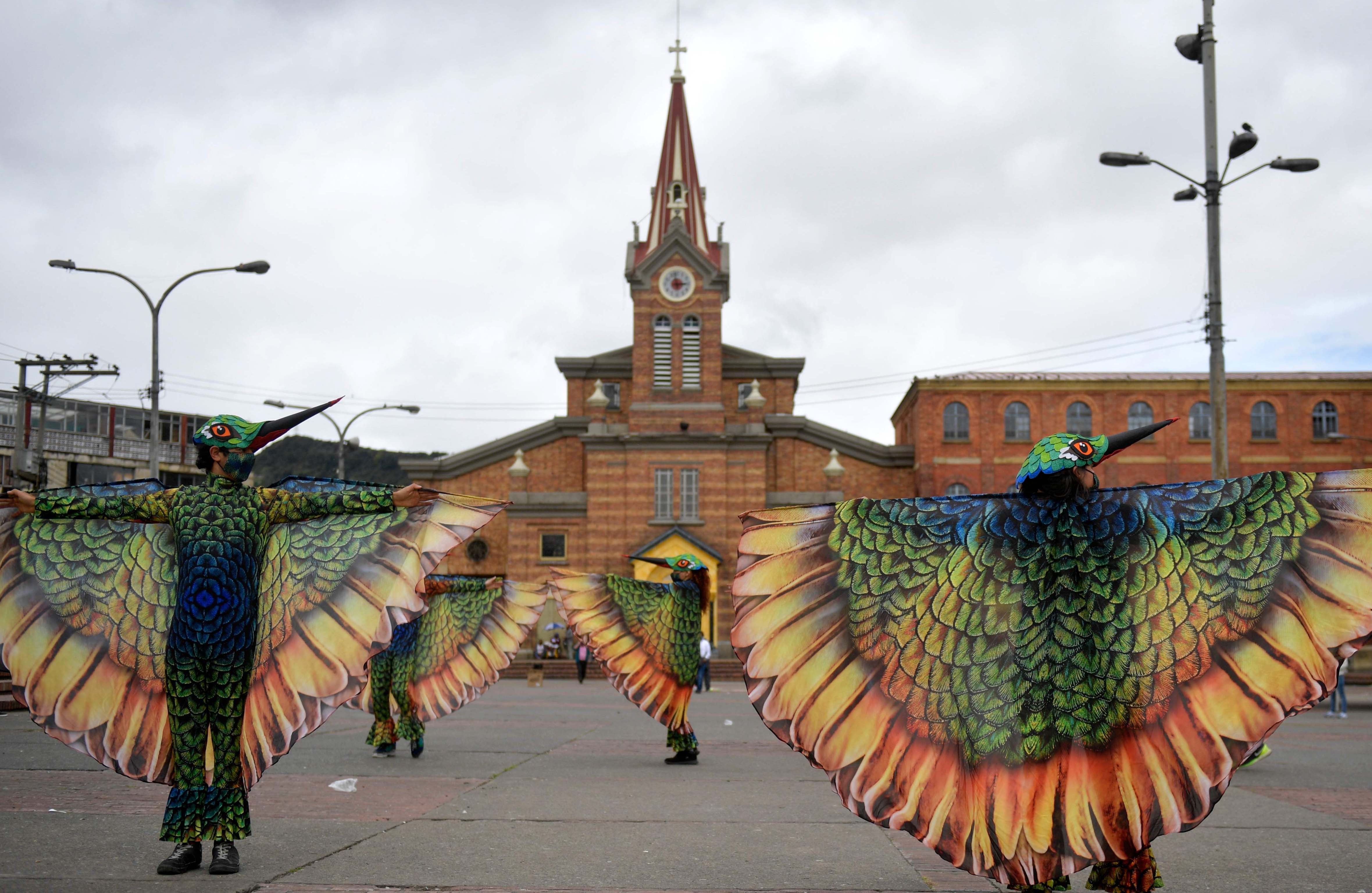 Kampanye Jaga Jarak Lewat Pertunjukan Burung Kolibri