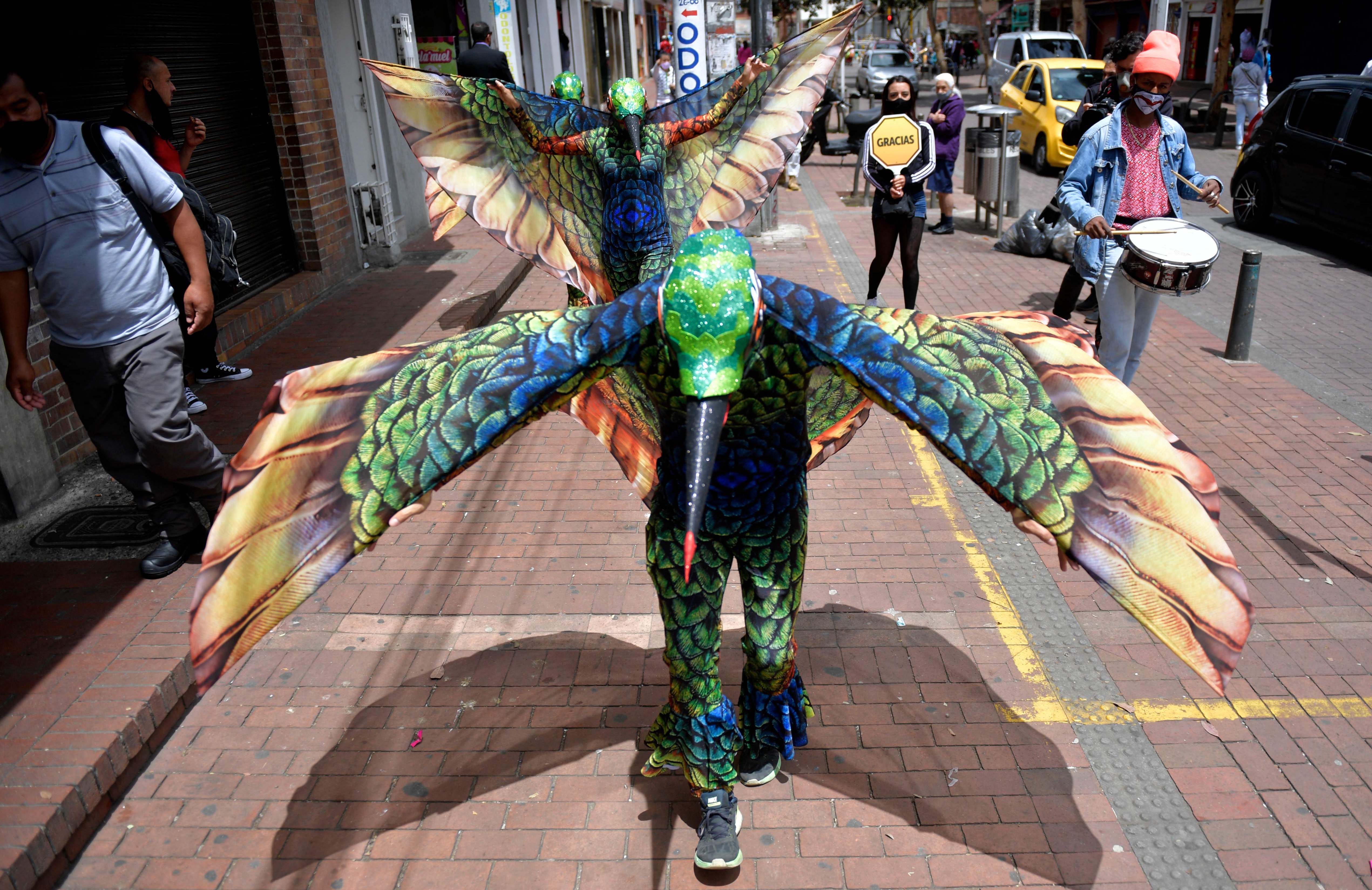 Kampanye Jaga Jarak Lewat Pertunjukan Burung Kolibri