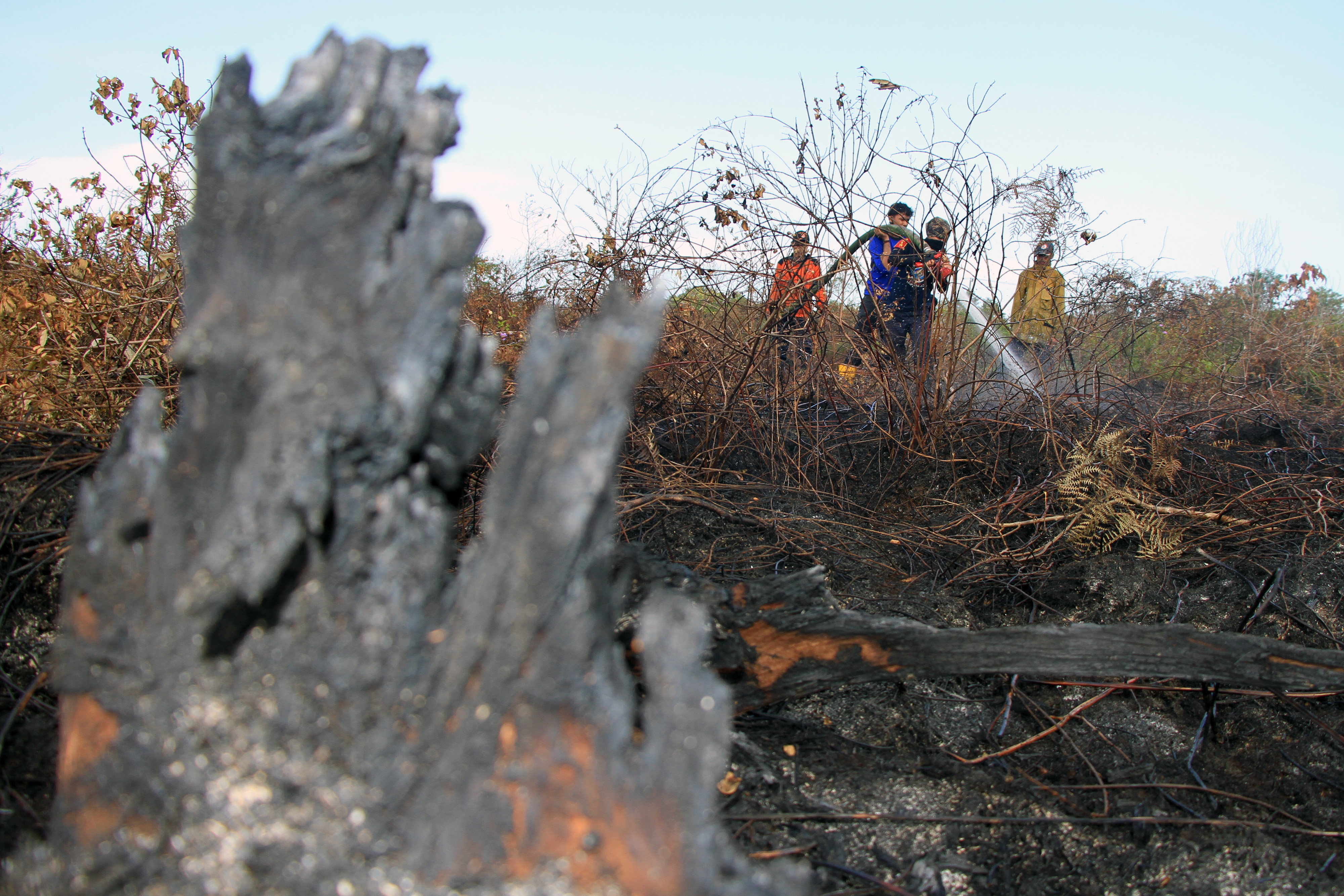 Kebakaran Lahan dan Hutan di Aceh