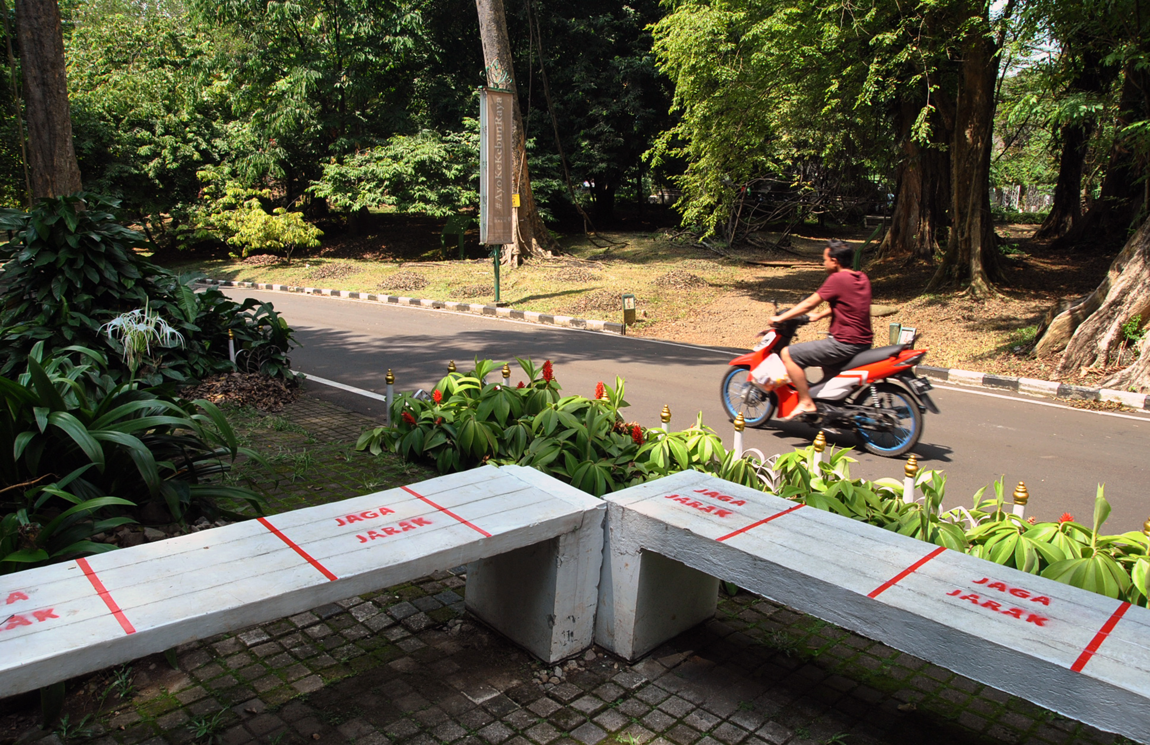 Persiapan Dibukanya Kembali Kebun Raya Bogor