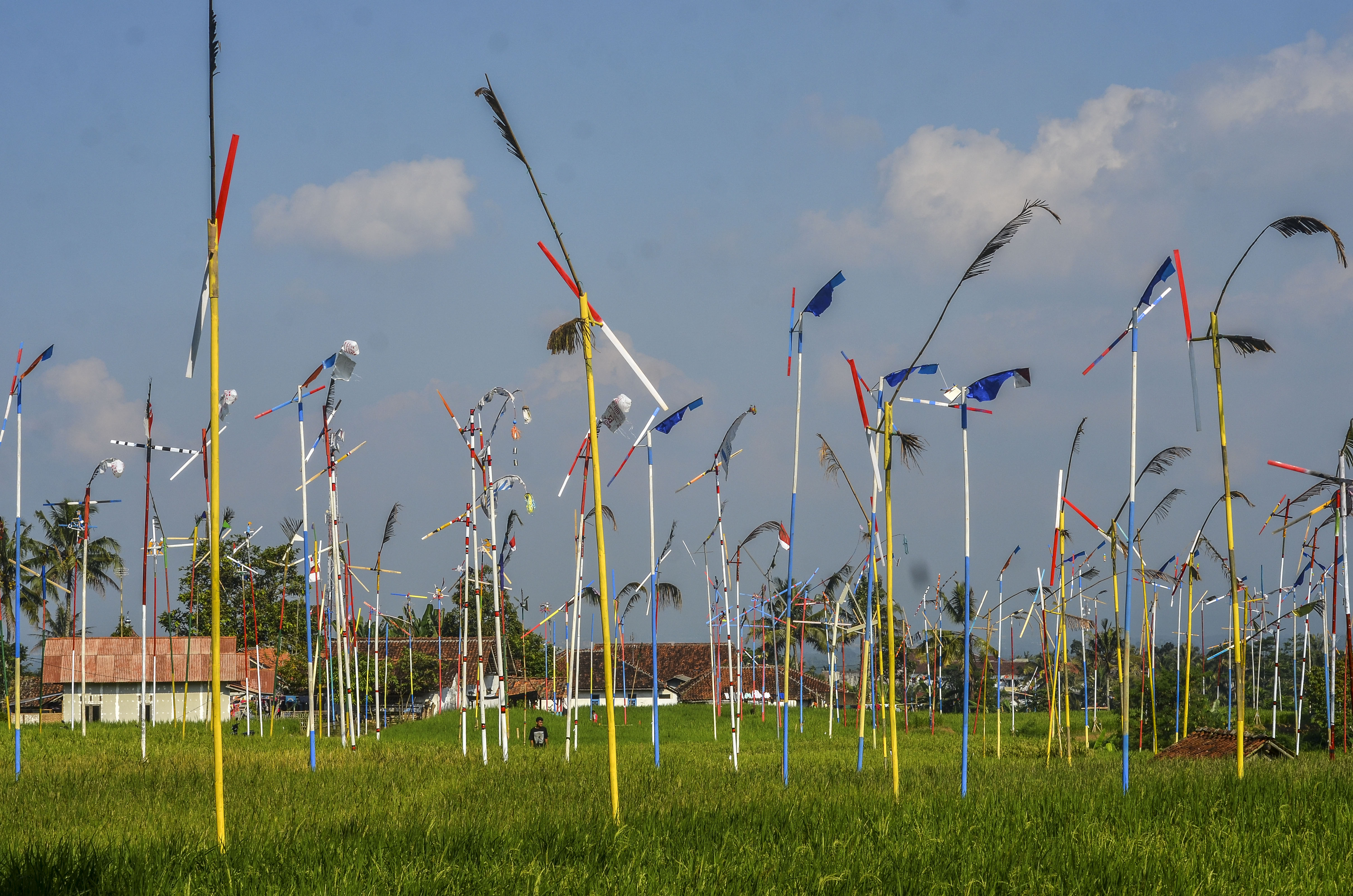 Inovasi Mengusir Burung