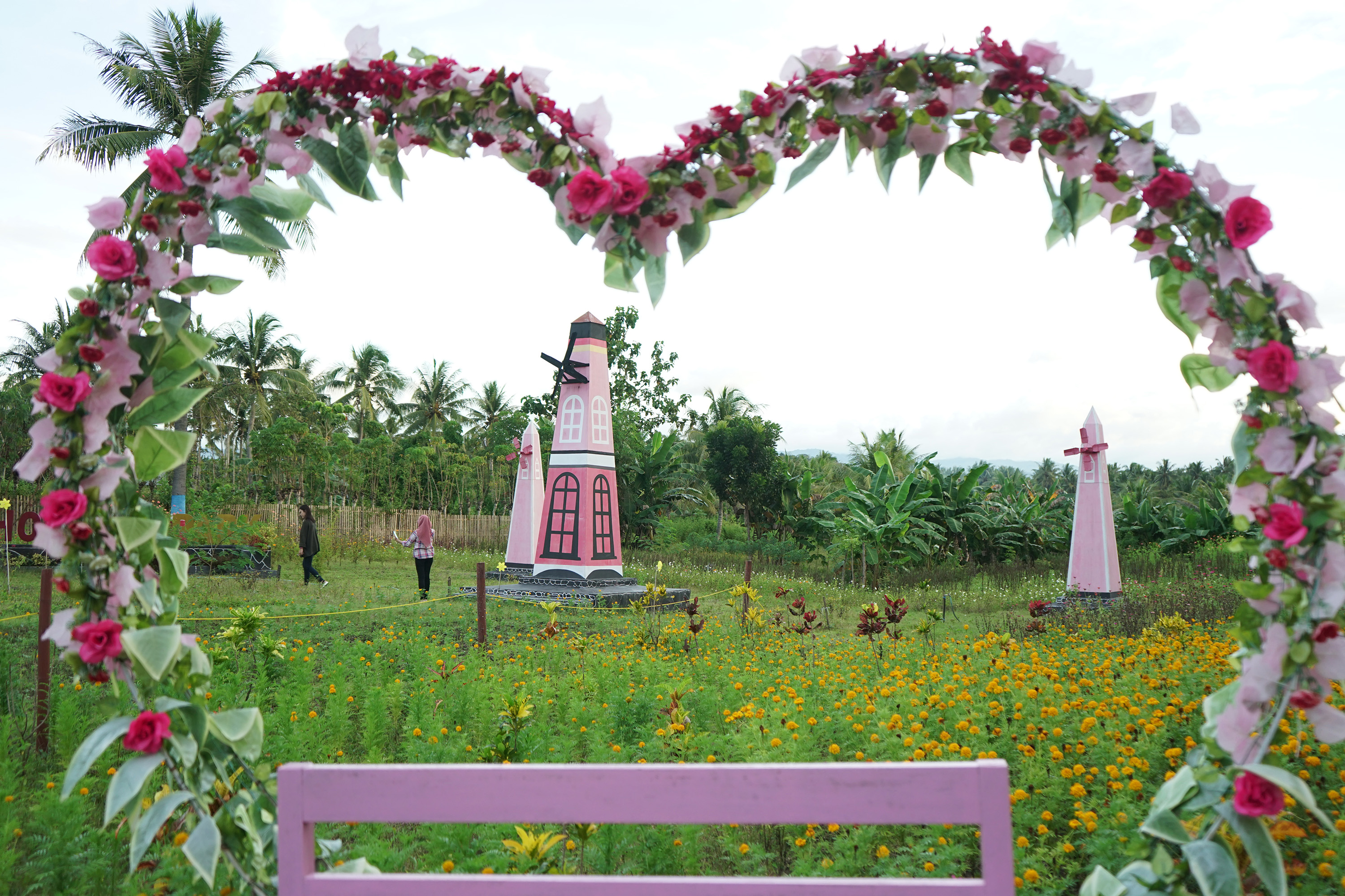 Wisata Bunga Gorontalo