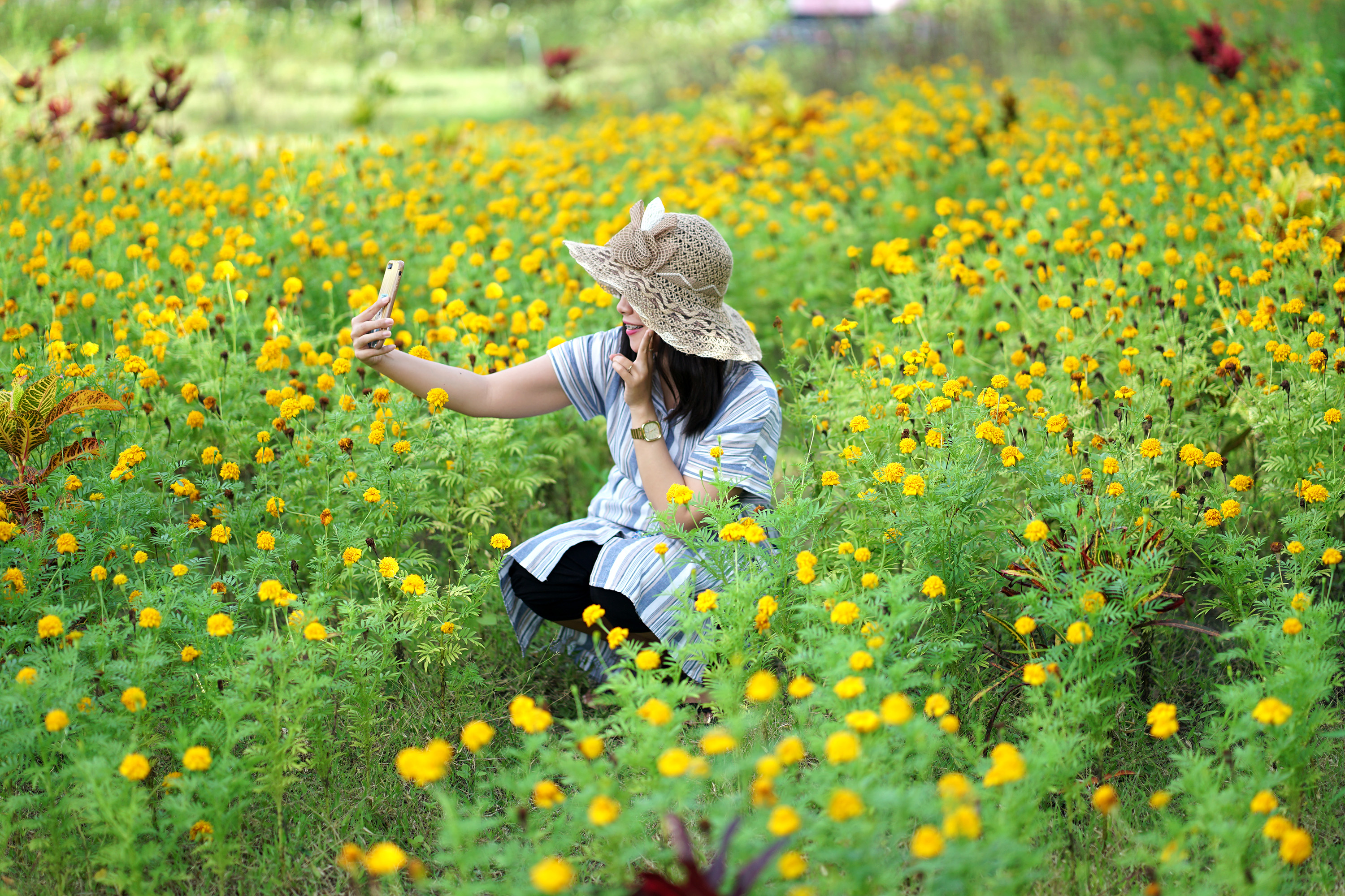 Wisata Bunga Gorontalo