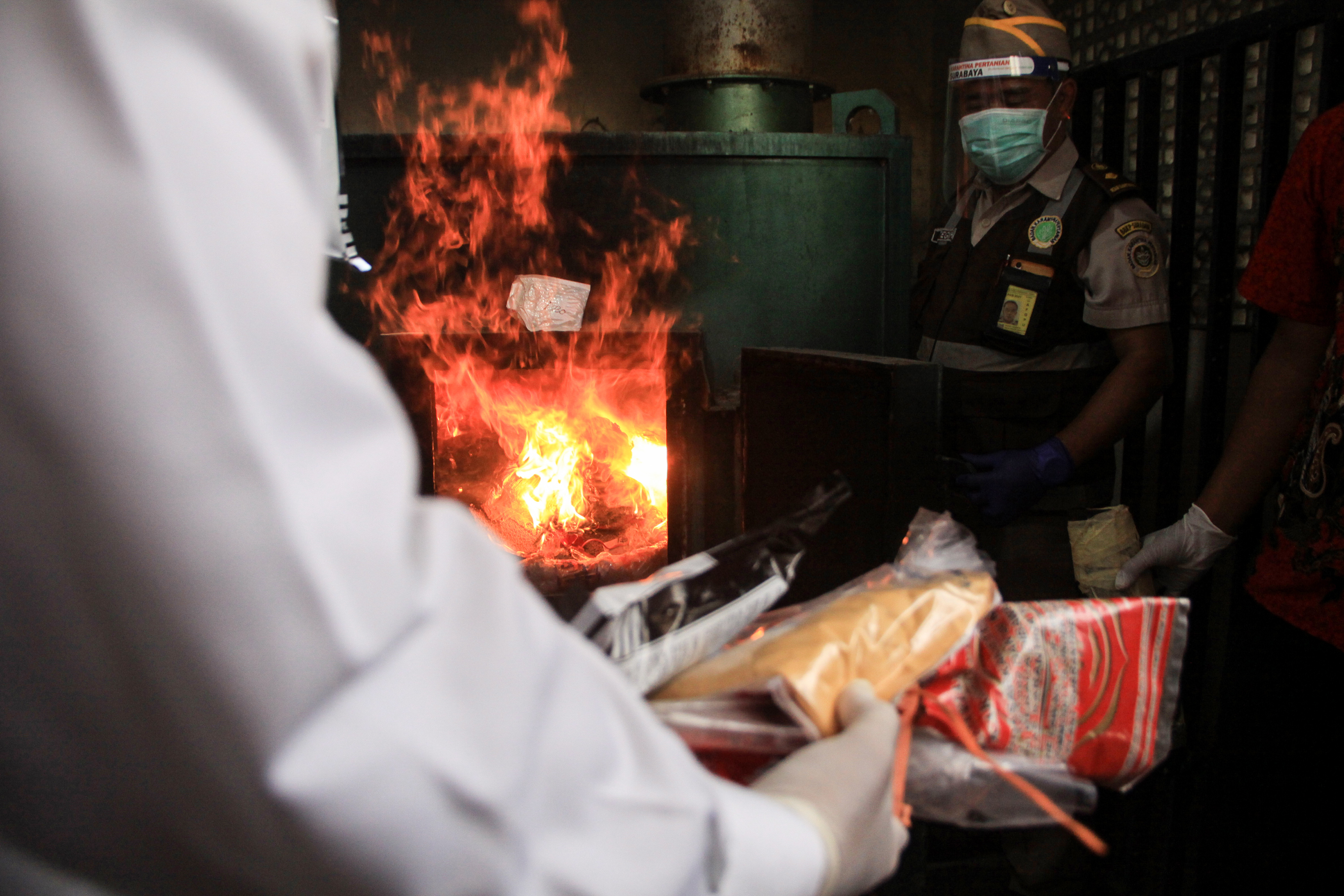 Pemusnahan Komoditas Pertanian Ilegal