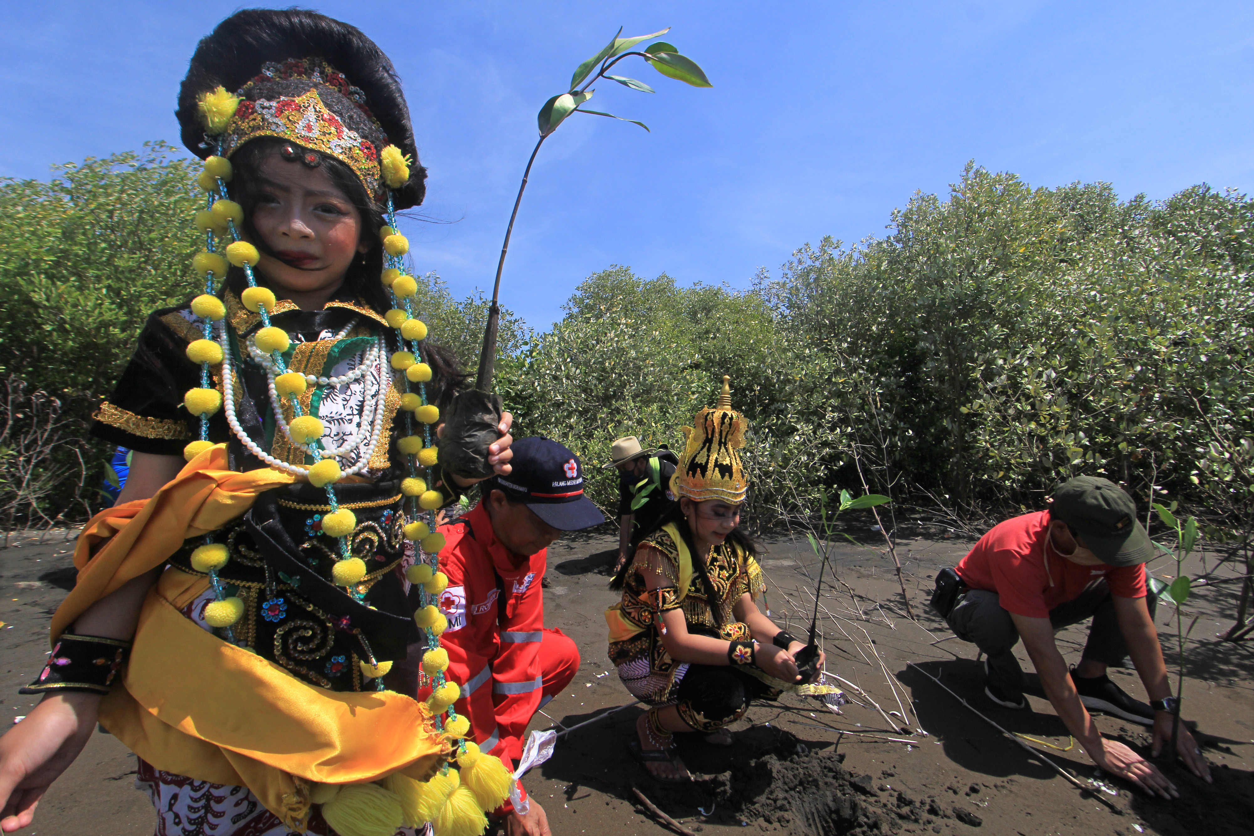 Peringatan Hari Mangrove Internasional