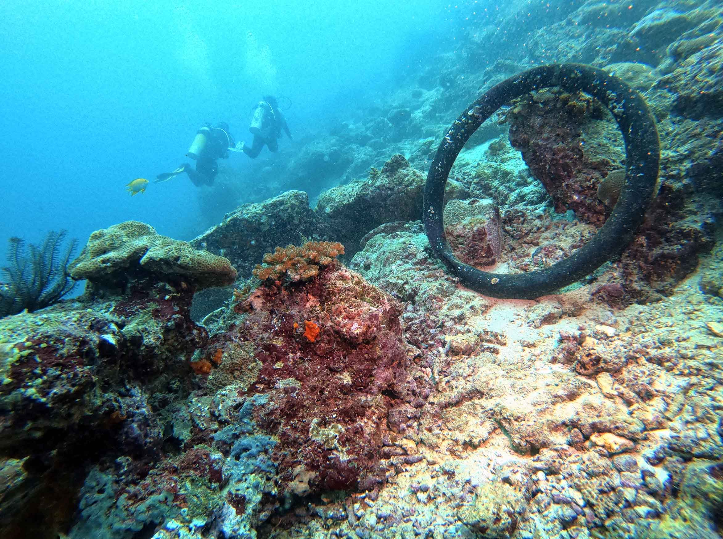 Surga yang Ternoda Plastik