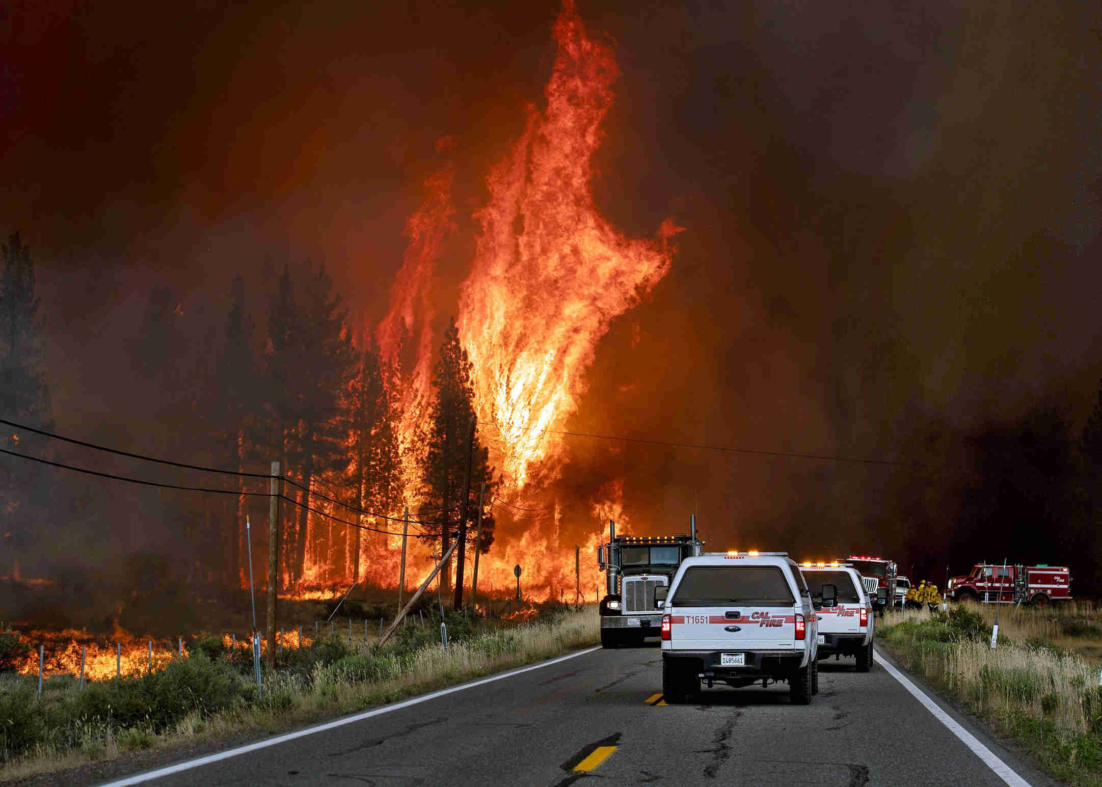 Sekitar 6.000 Hektare Hutan California Ludes 