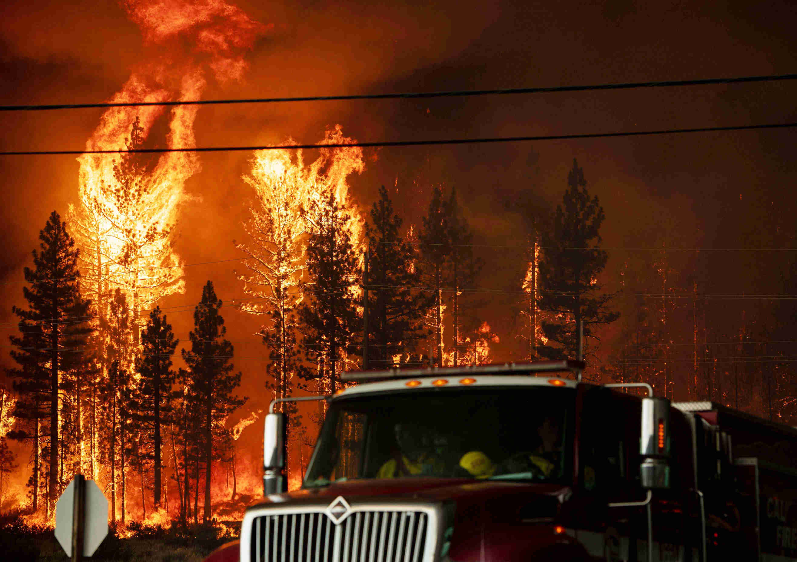 Sekitar 6.000 Hektare Hutan California Ludes 