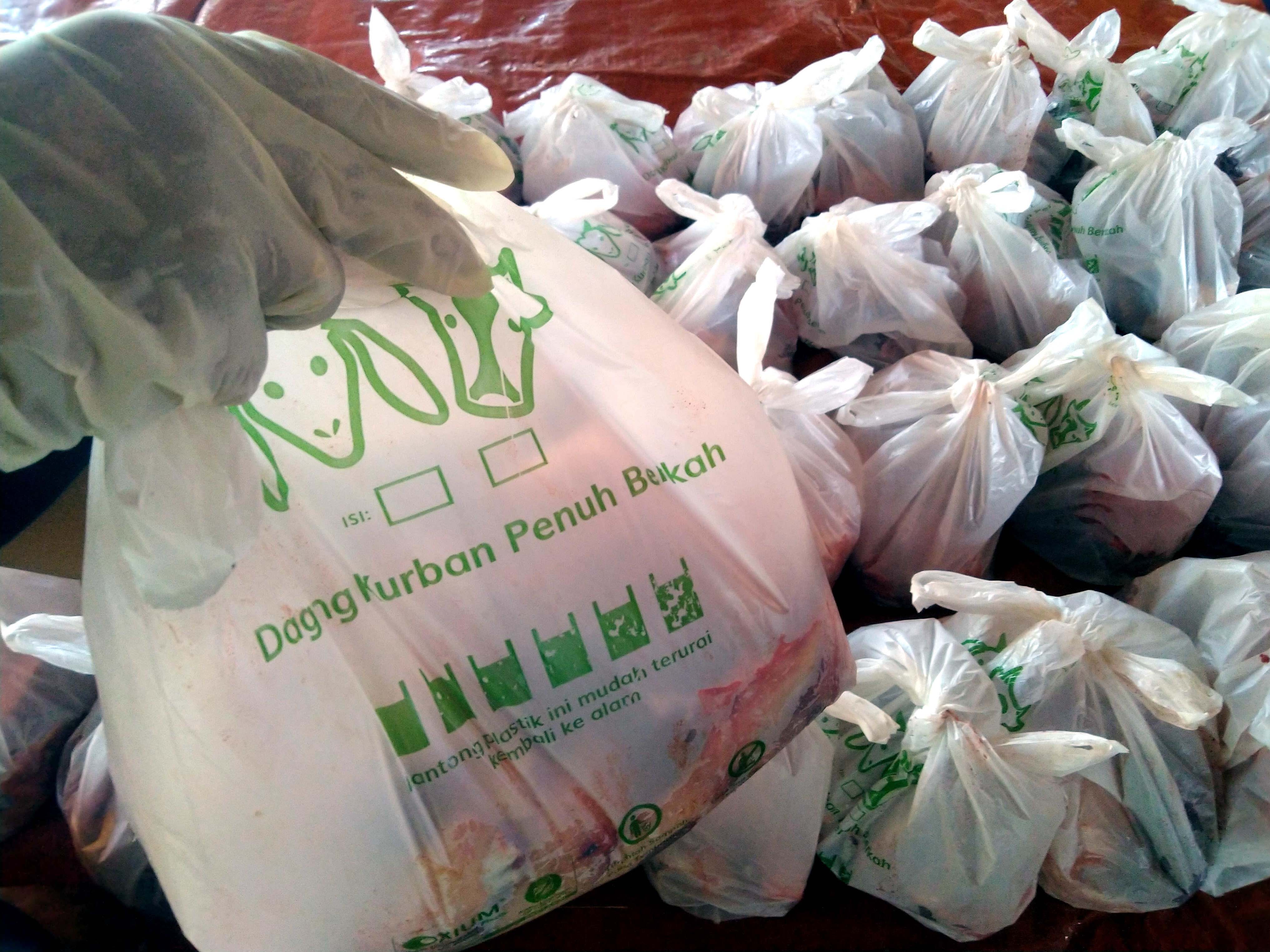 DKM Nursiah Daud Paloh Kelola 11 Sapi dan 14 Kambing Kurban 