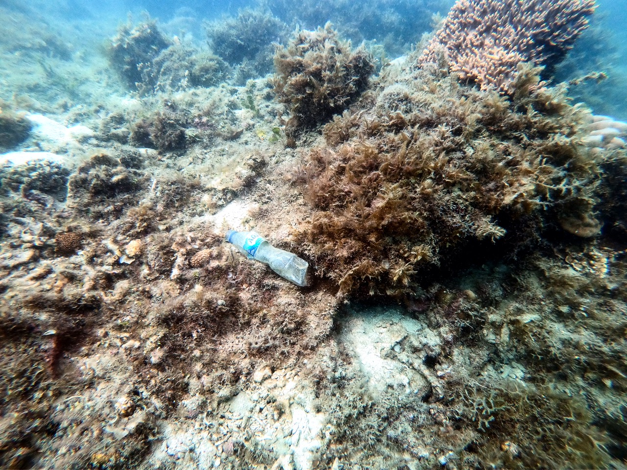 Sampah Plastik di Bawah Laut dan Pesisir Pulau Air Jakarta