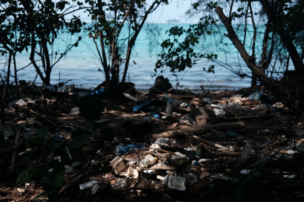 Sampah Plastik di Bawah Laut dan Pesisir Pulau Air Jakarta