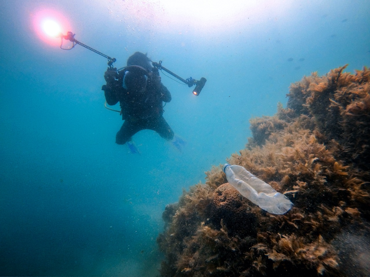 Sampah Plastik di Bawah Laut dan Pesisir Pulau Air Jakarta
