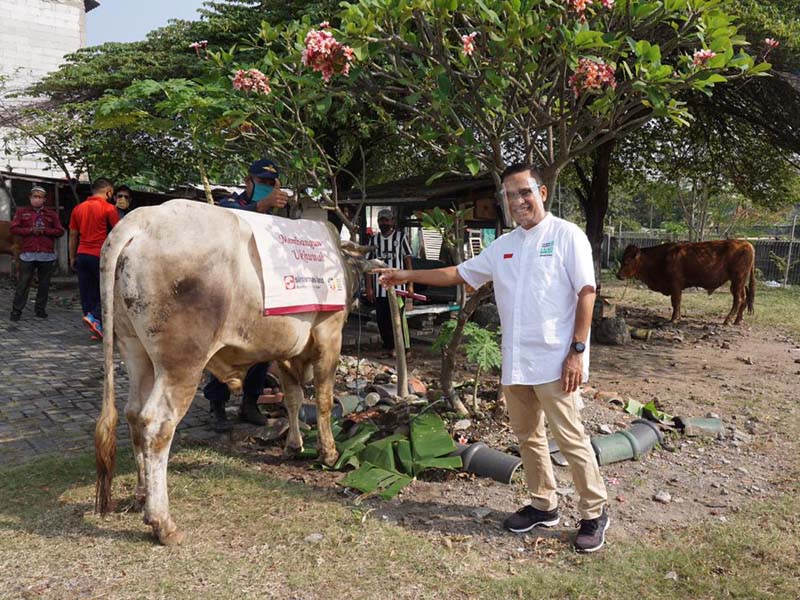 Yayasan Muslim Sinar Mas dan ITC Group Sumbangkan Hewan Kurban