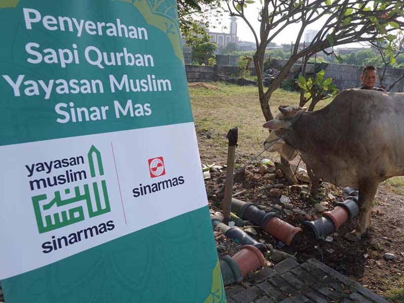 Yayasan Muslim Sinar Mas dan ITC Group Sumbangkan Hewan Kurban