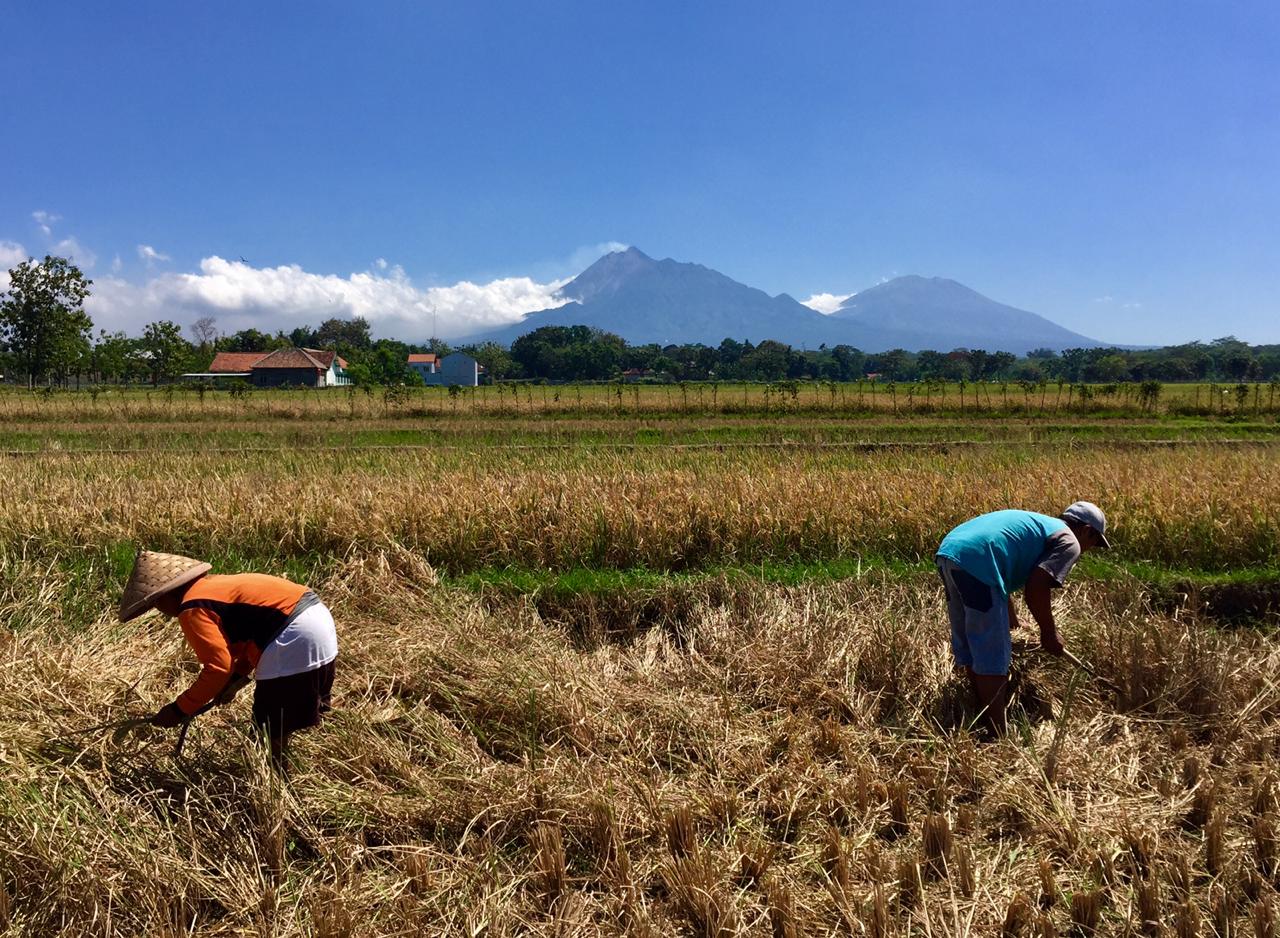 Antisipasi Erupsi Merapi
