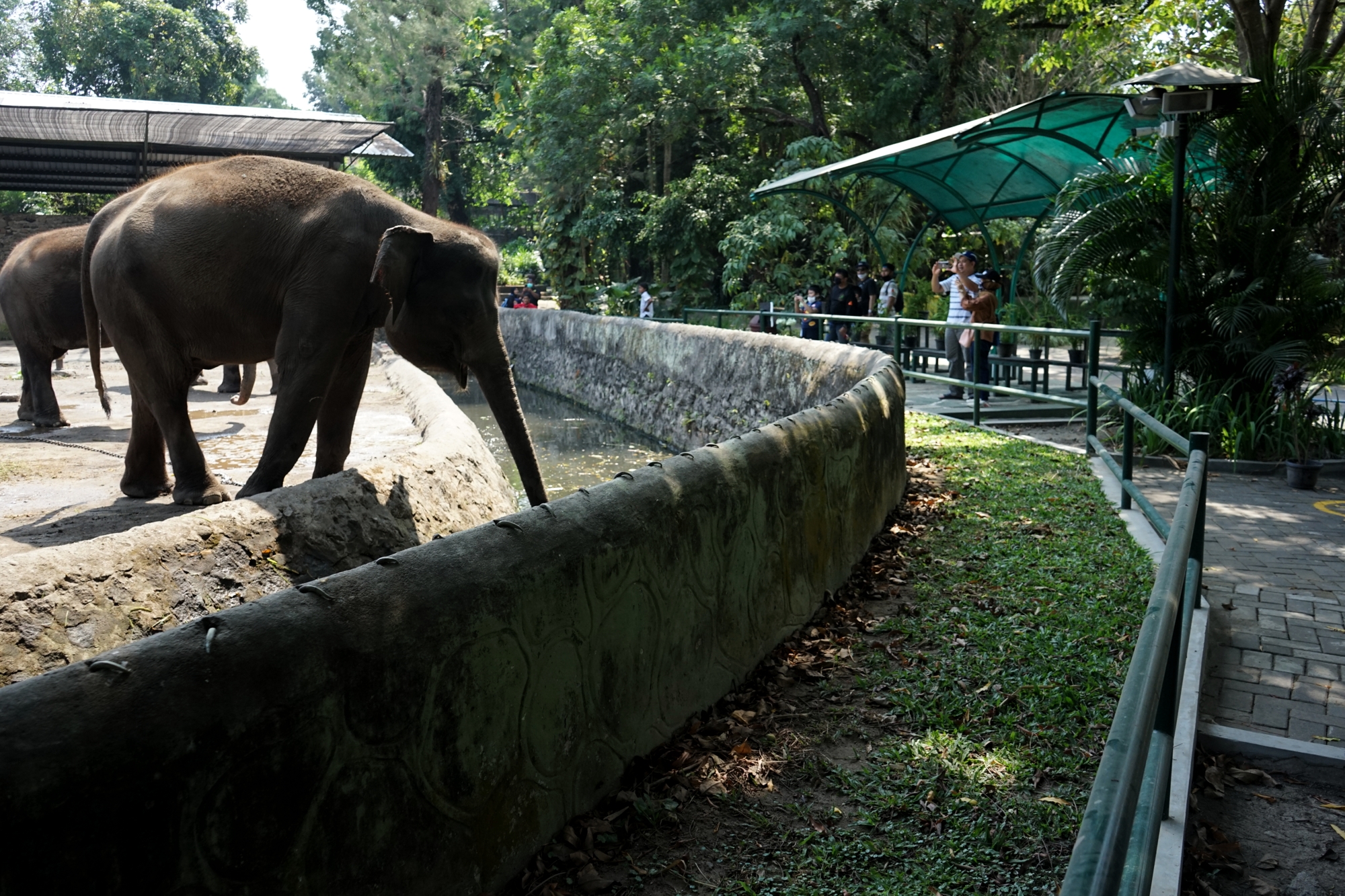 Gembira Loka Zoo Kembali Buka