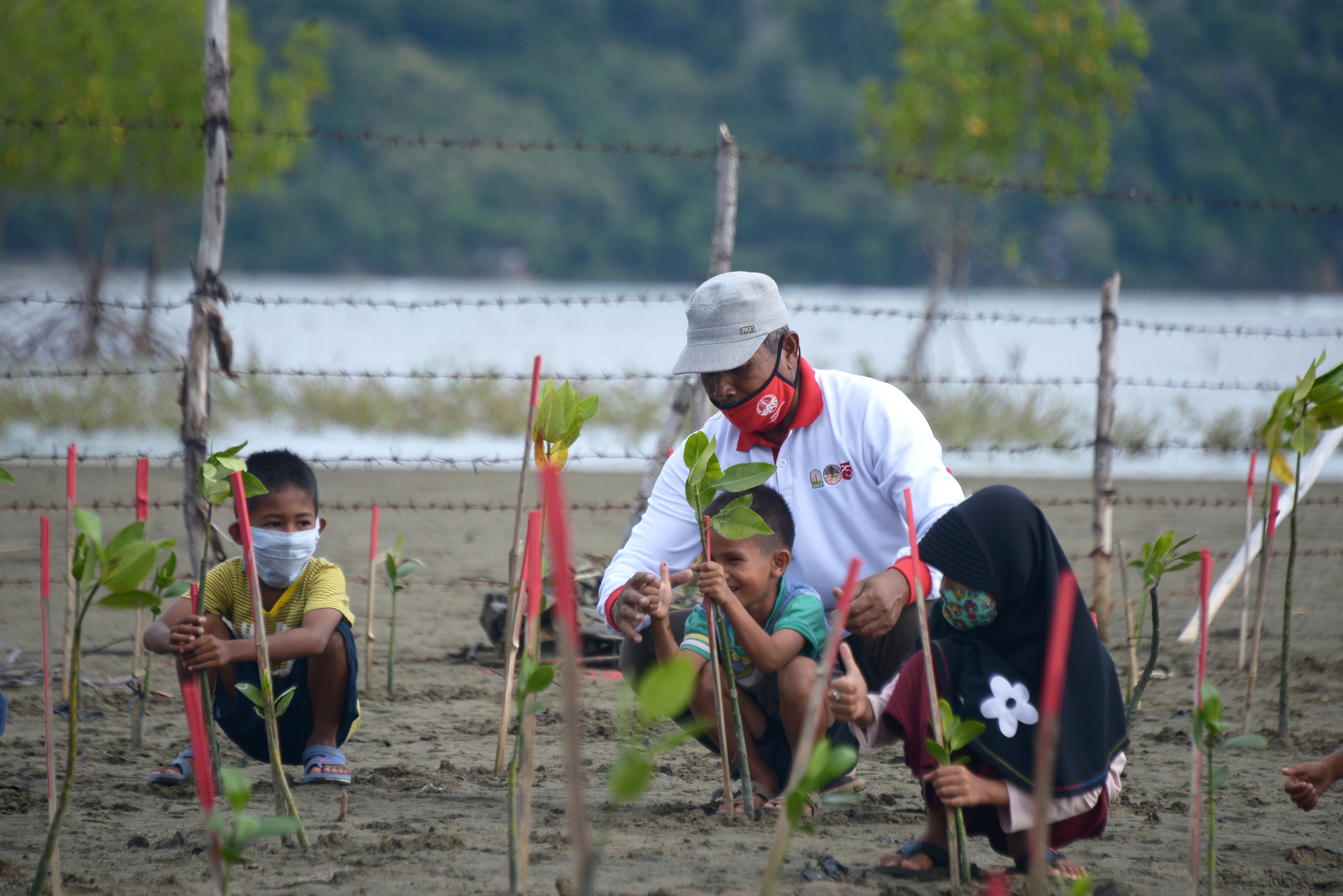 Rehabilitasi Lahan Mangrove