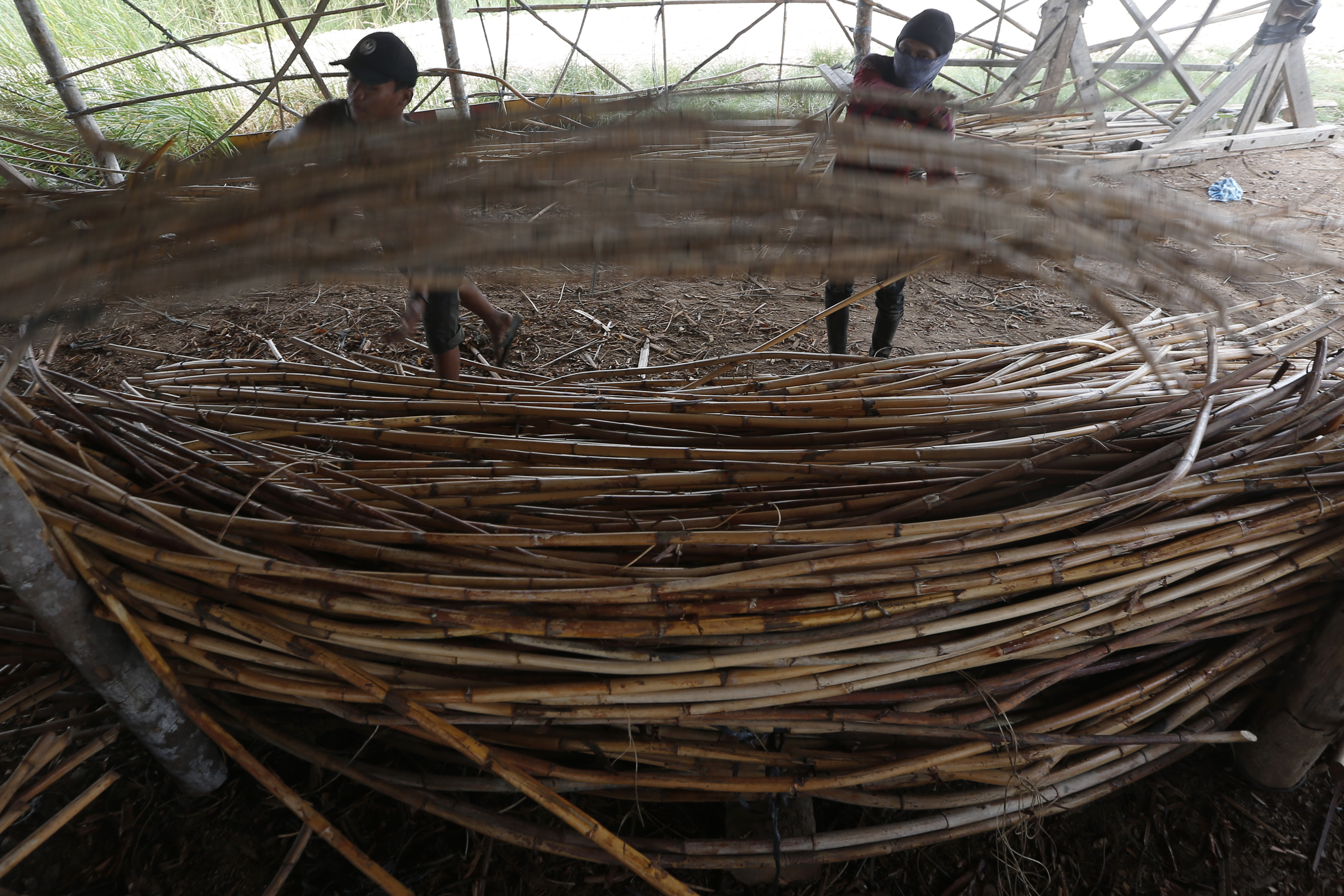 Rotan untu Kebutuhan Furnitur
