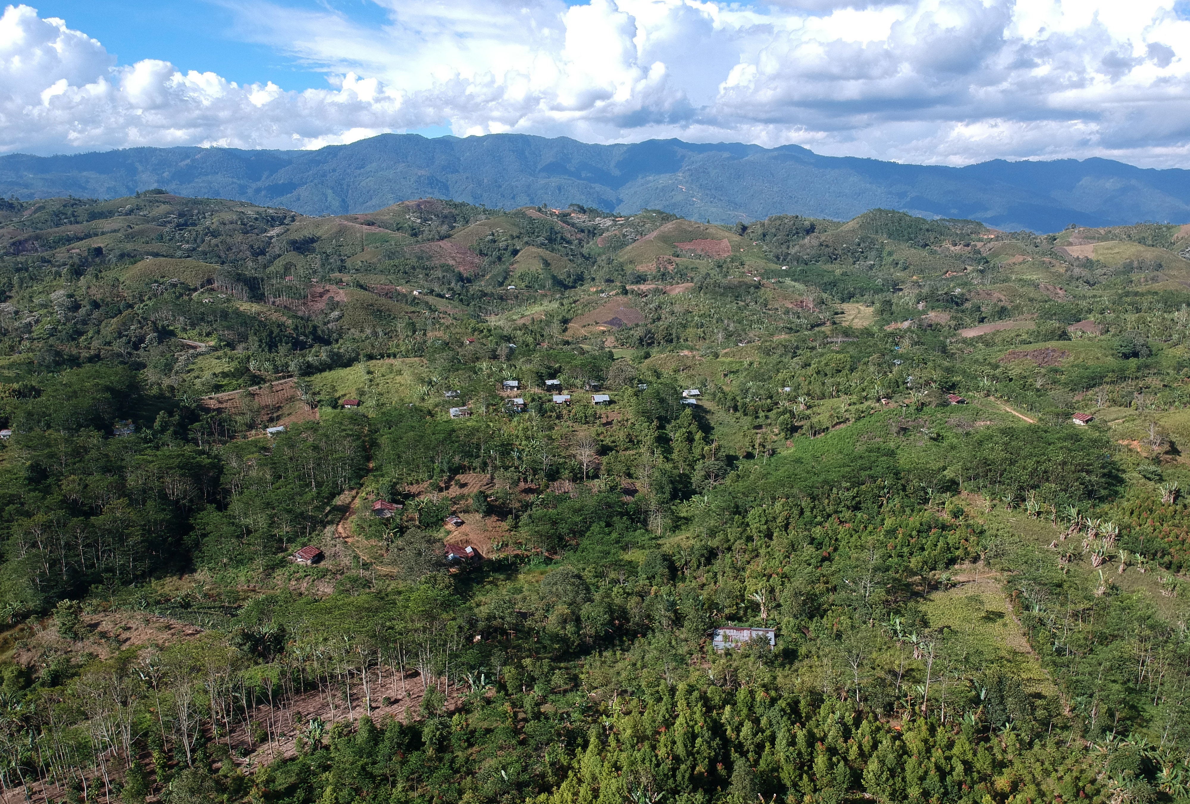 Transmigran Harapkan  Kepastian Kepemilikan Lahan
