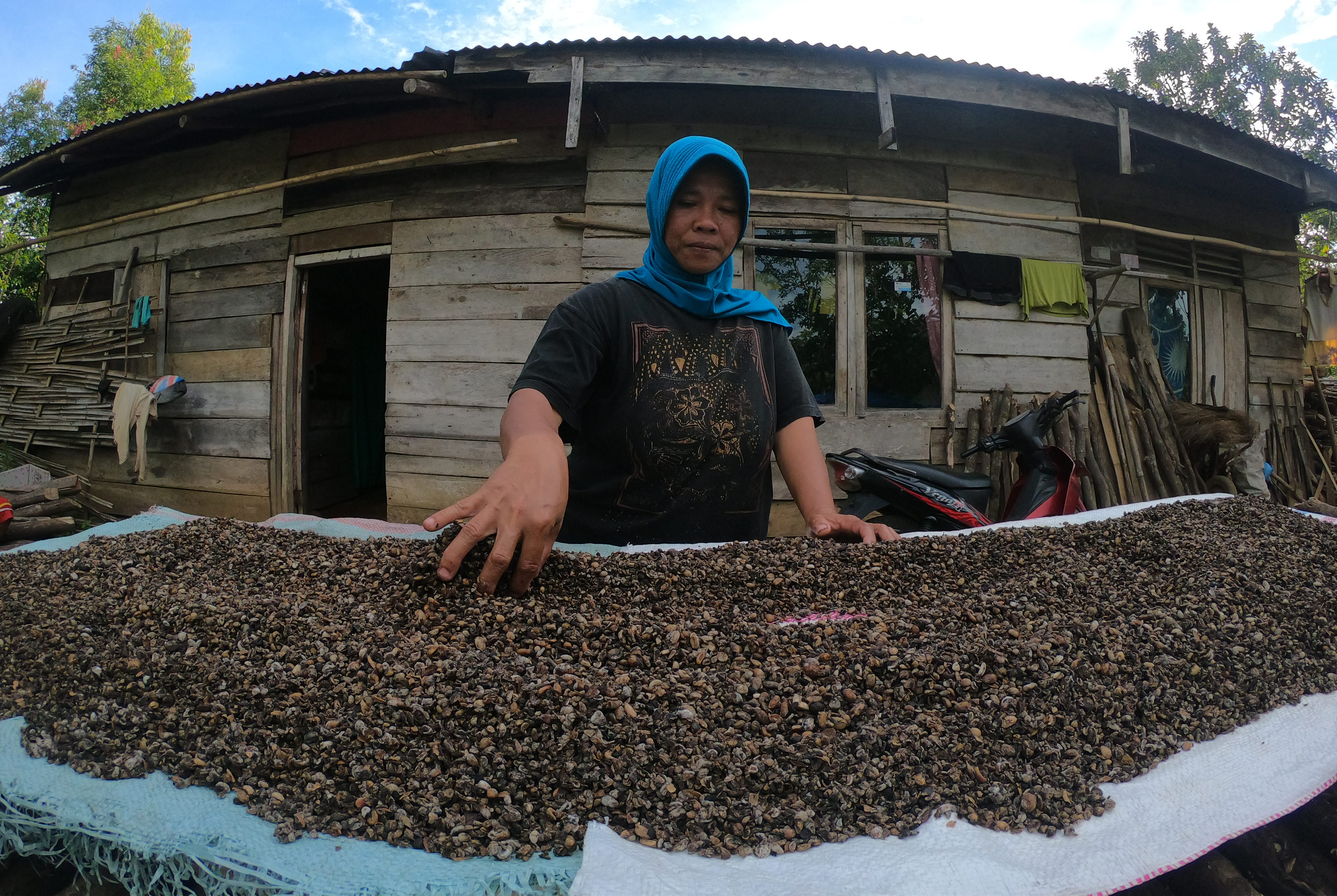 Transmigran Harapkan  Kepastian Kepemilikan Lahan