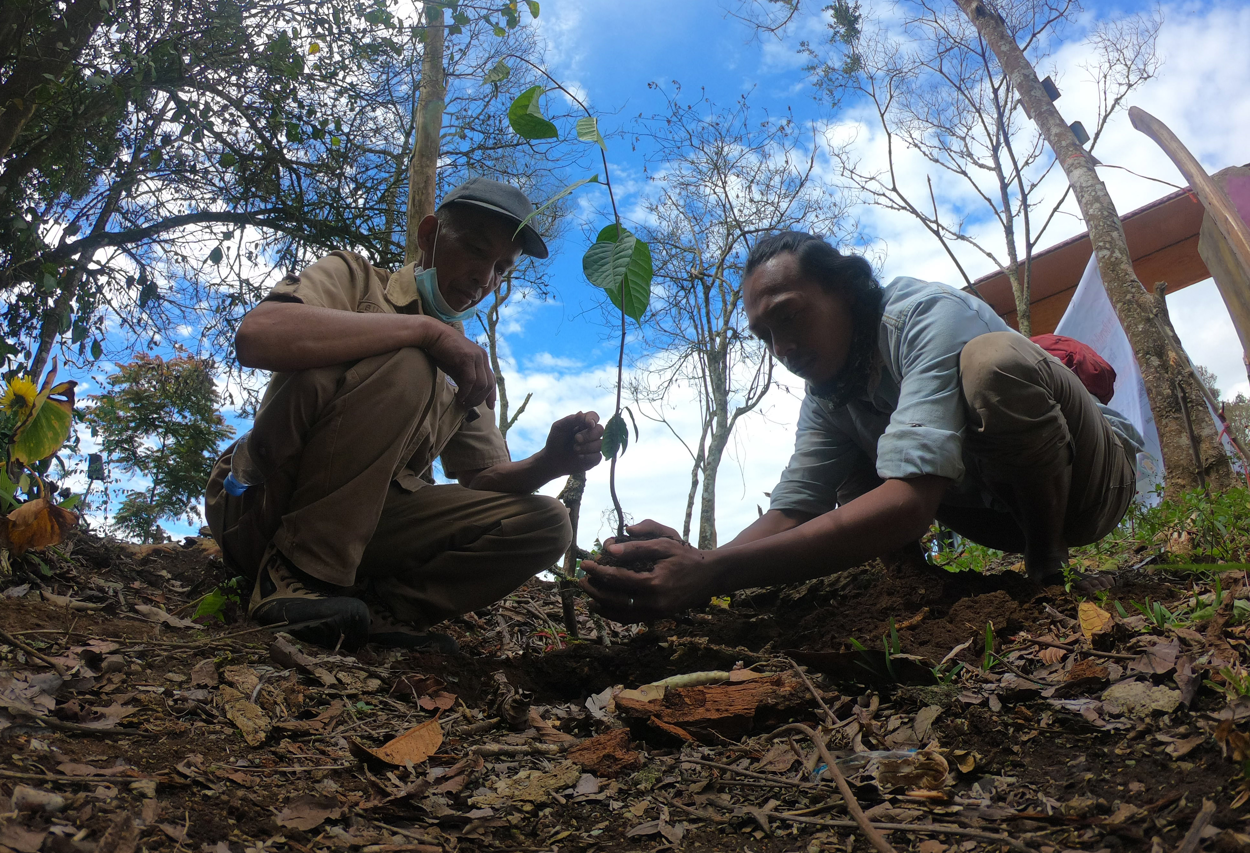 Tanam Pohon dan Pungut Sampah di Gunung Kerinci