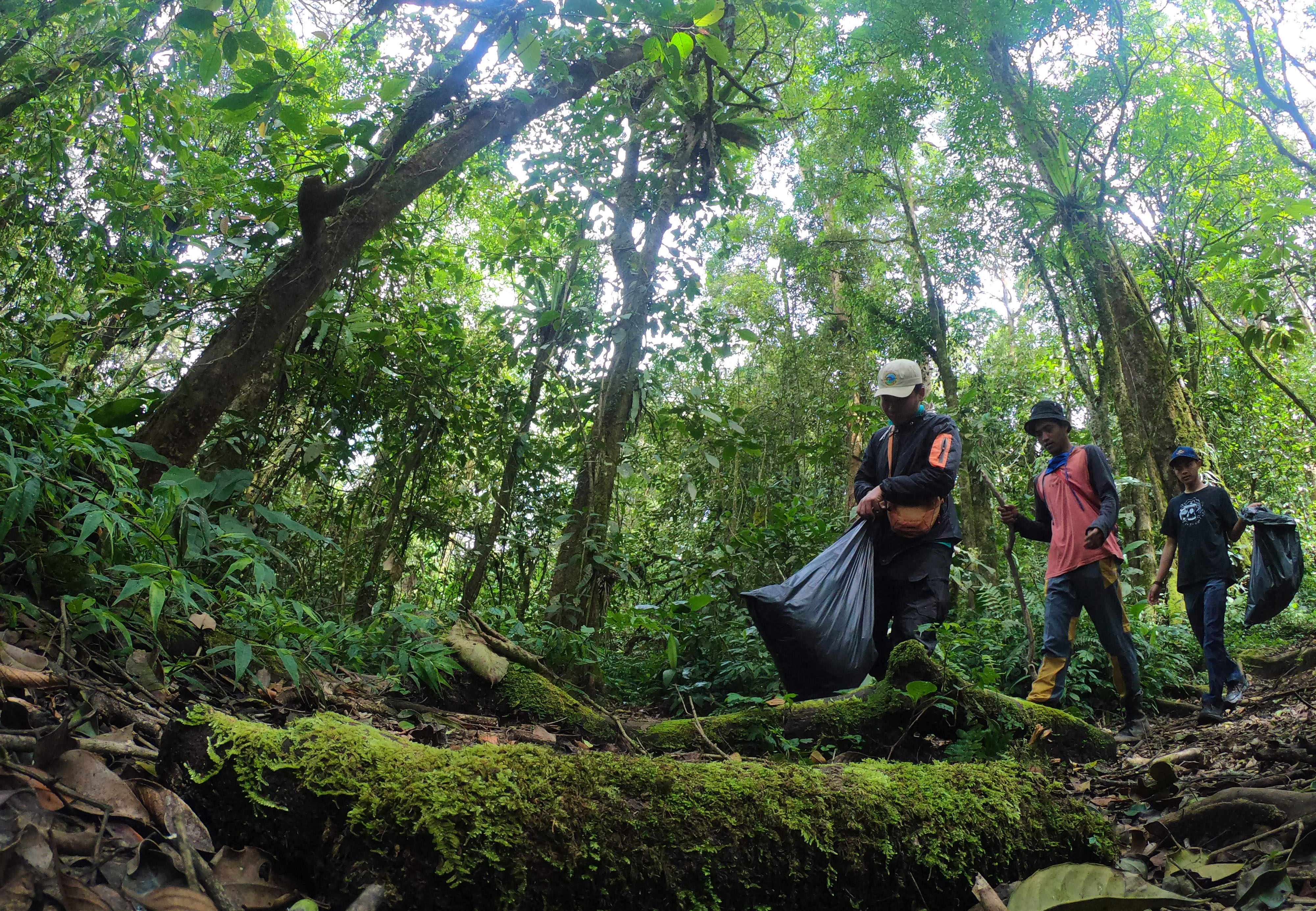 Tanam Pohon dan Pungut Sampah di Gunung Kerinci