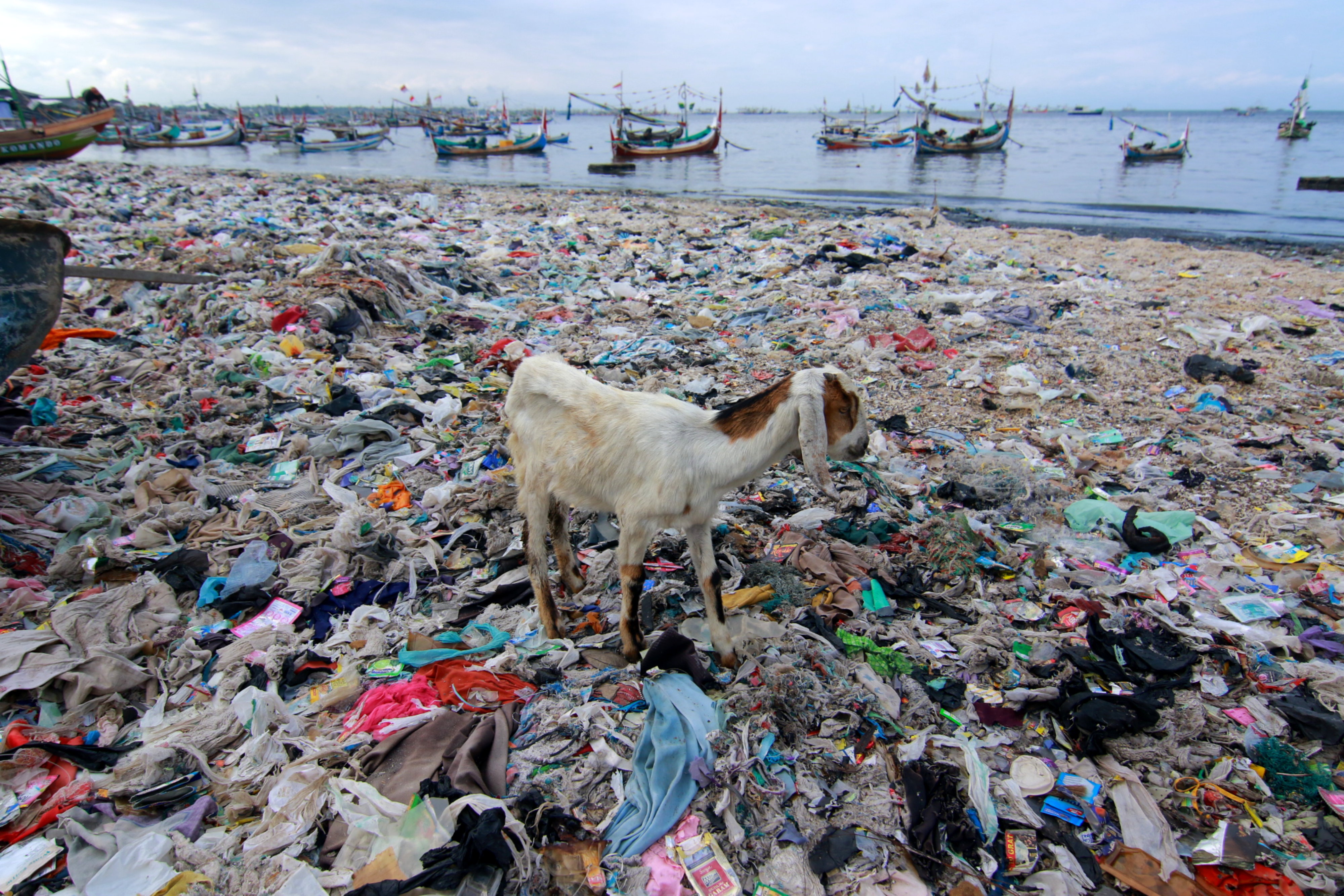 Tumpukan Sampah Penuhi Pantai