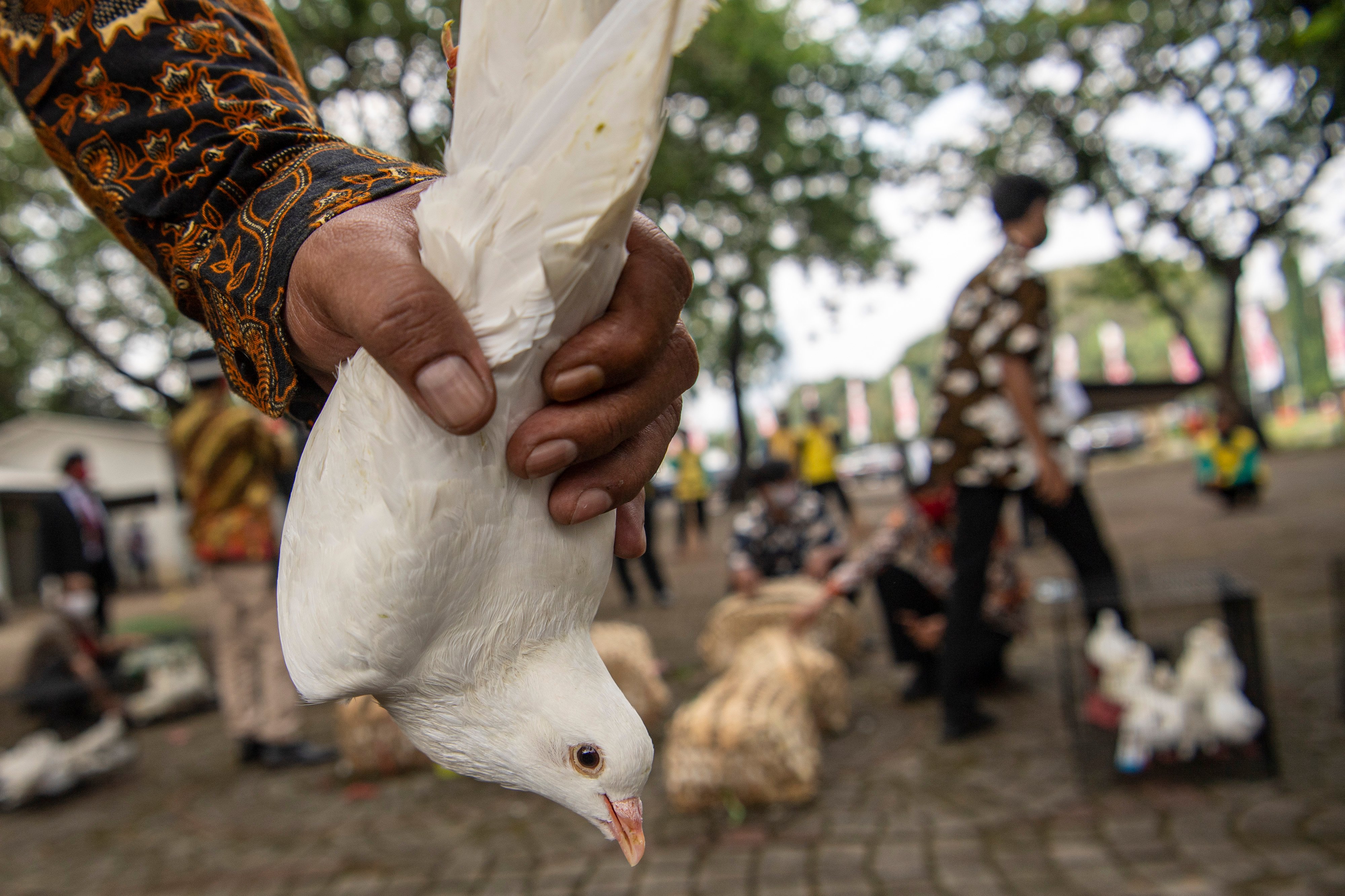 Pelepasan Burung Merpati Peringatan HUR Ke-75 RI