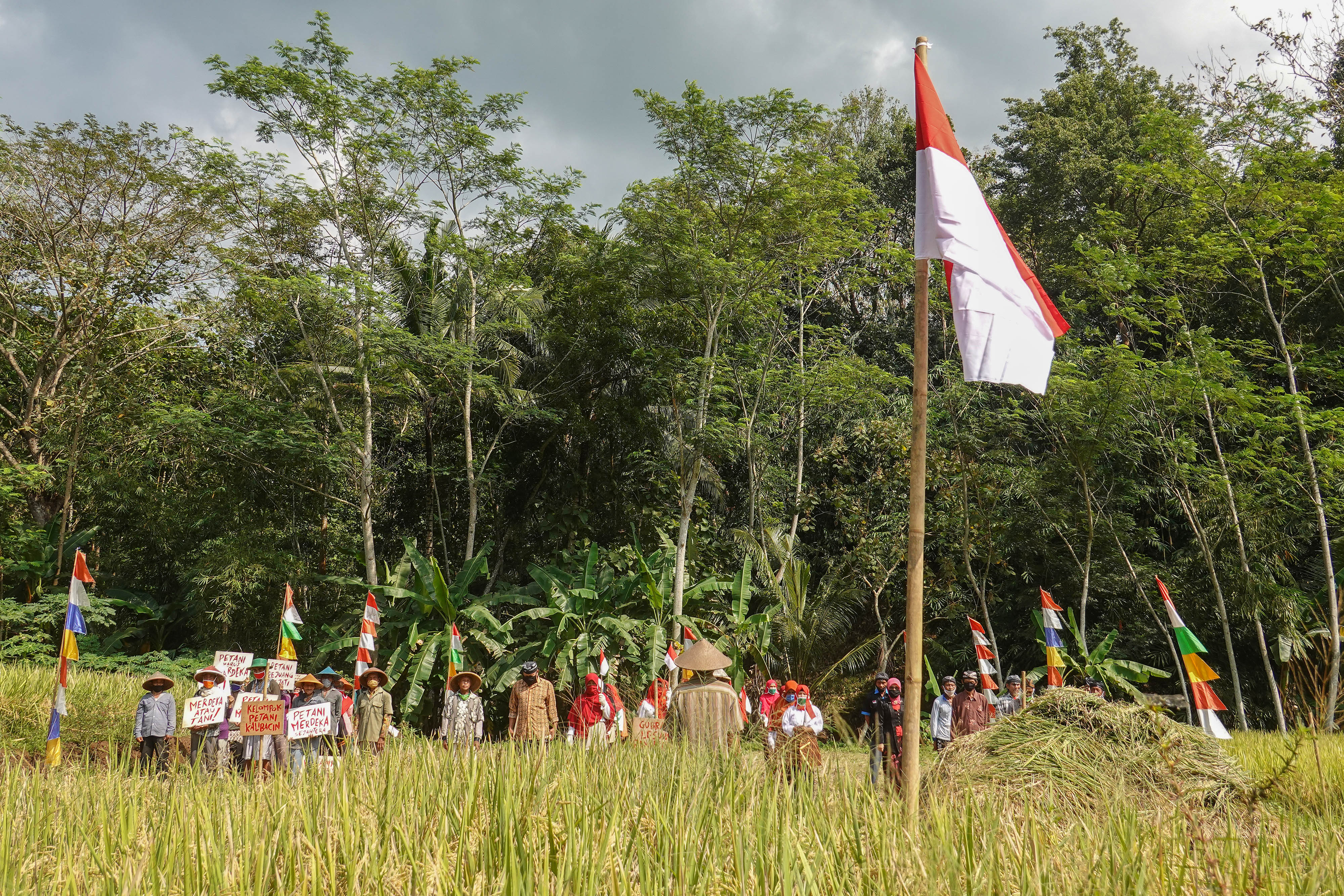 Petani Banyumas Upacara HUT Ke-75 RI di Sawah