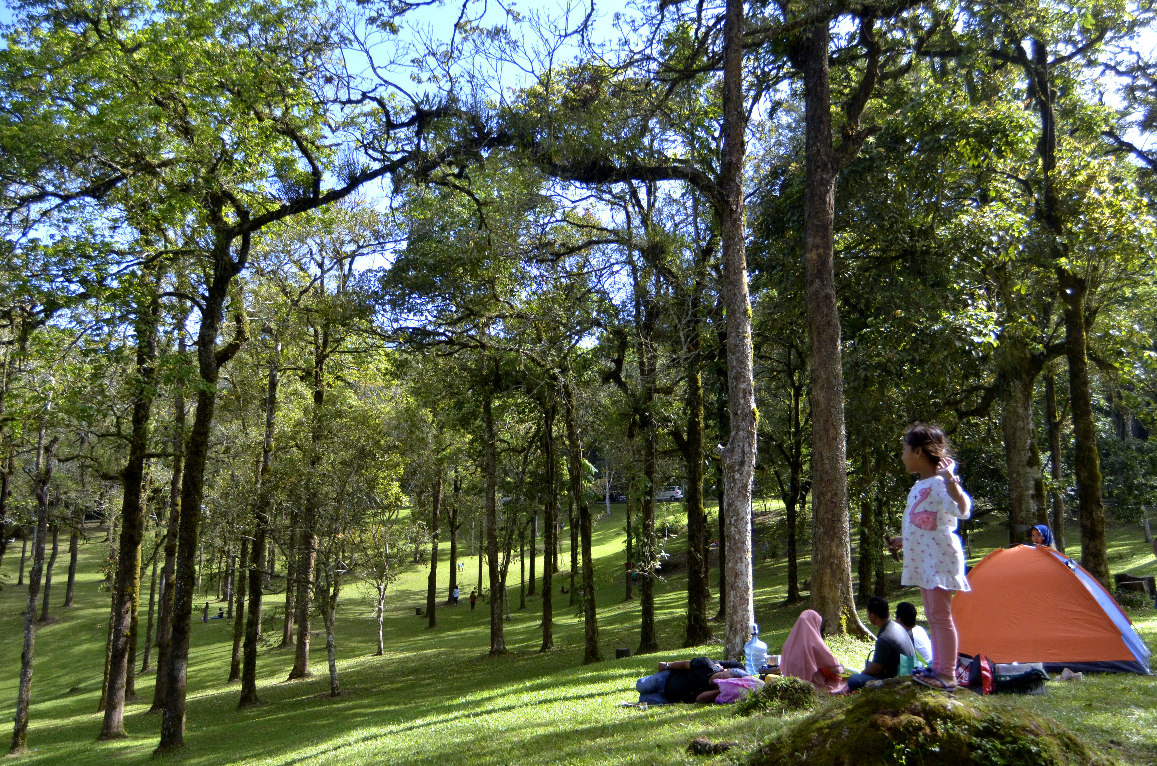 Wisata Kebun Raya Bali