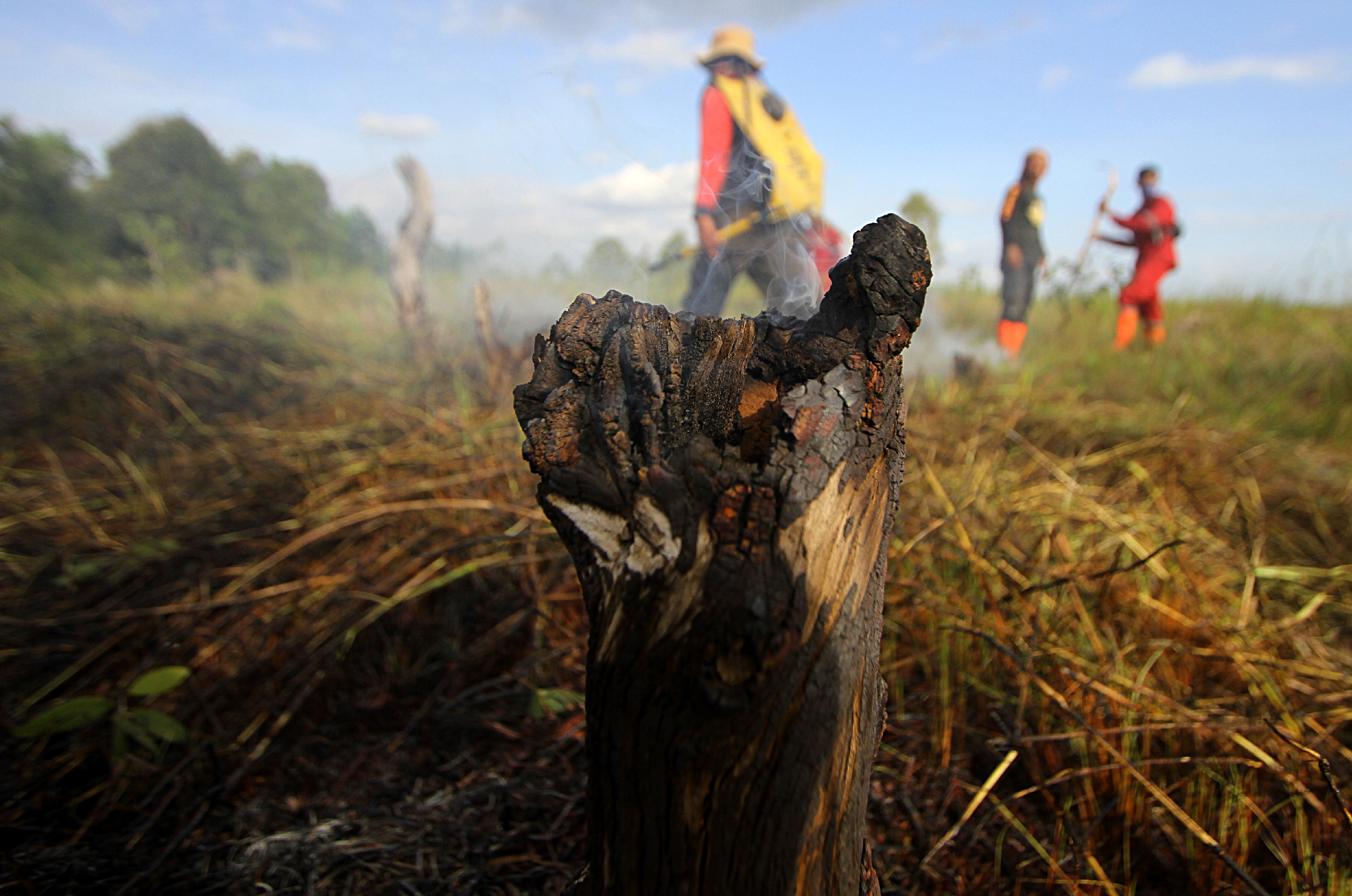 Pemadaman Kebakaran Lahan Gambut di Kalimantan Selatan