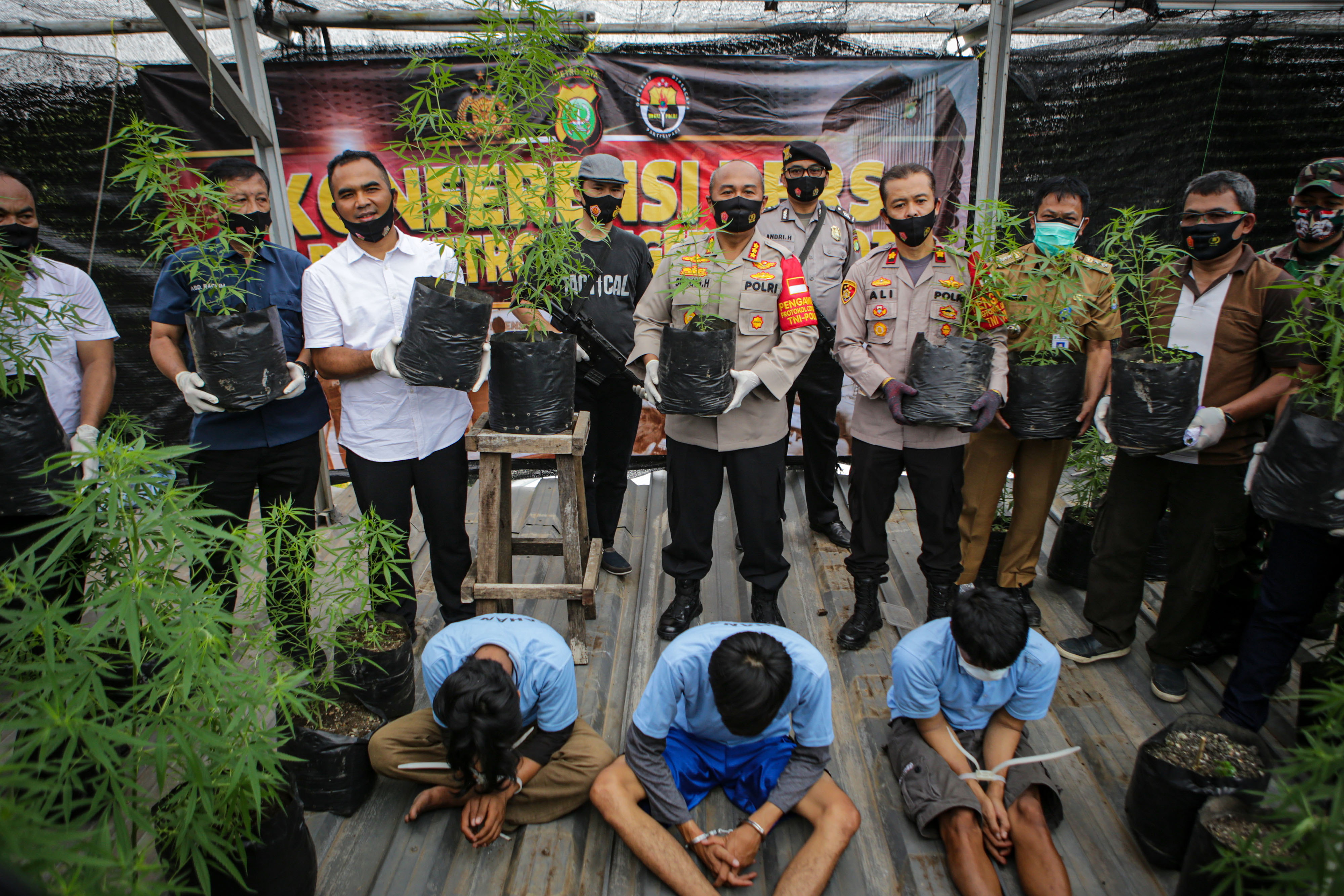 Temuan Tanaman Ganja di Tangerang