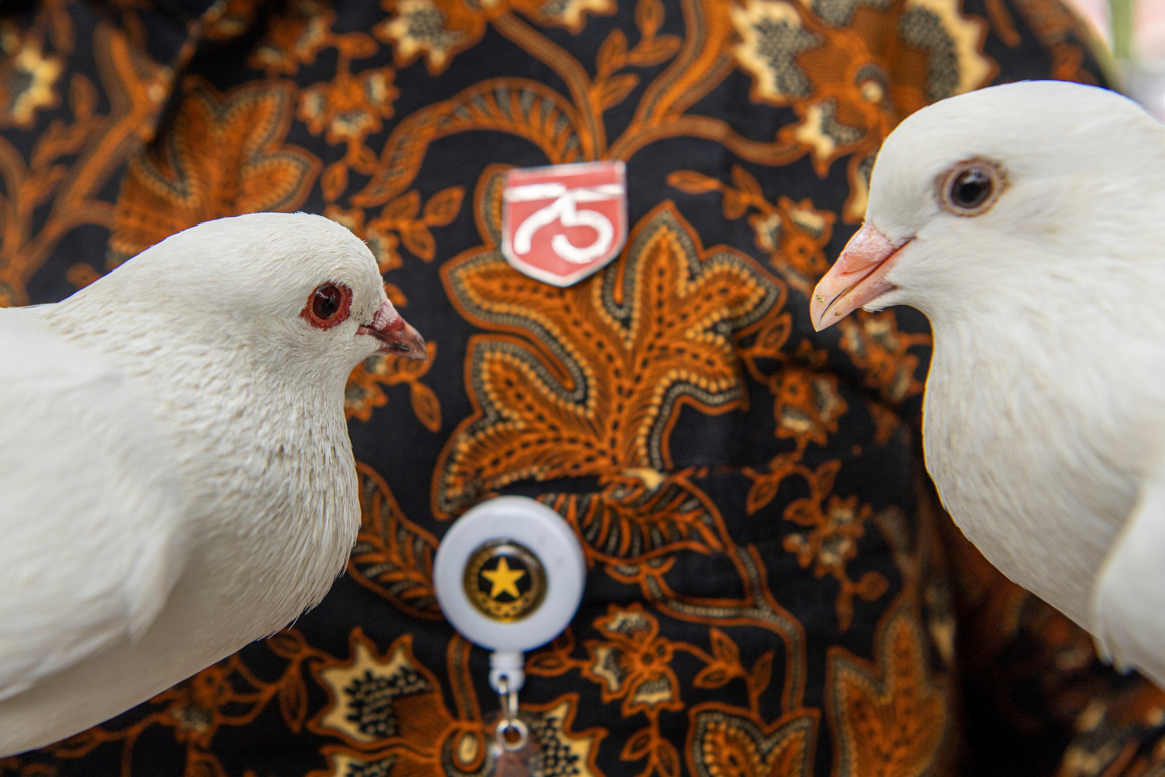 Pelepasan Burung Merpati Peringatan HUR Ke-75 RI