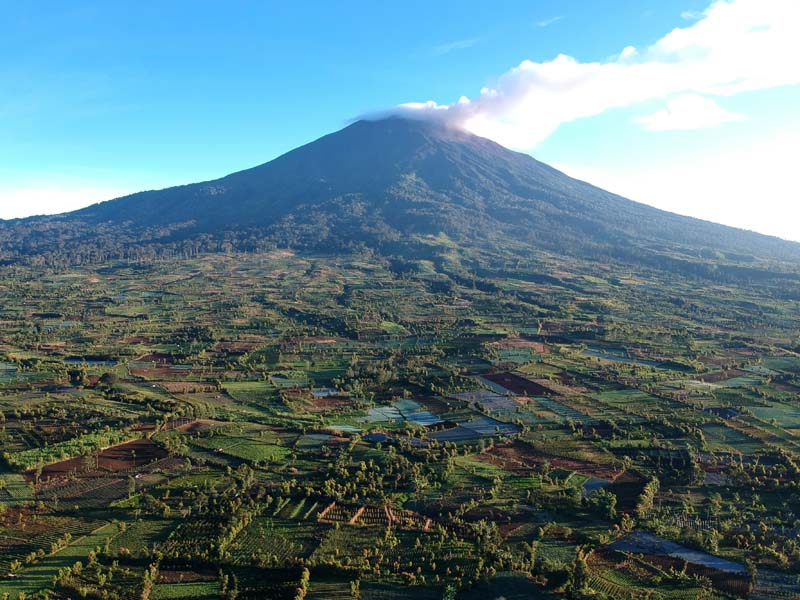 Laju Deforestasi Hutan dan Lahan