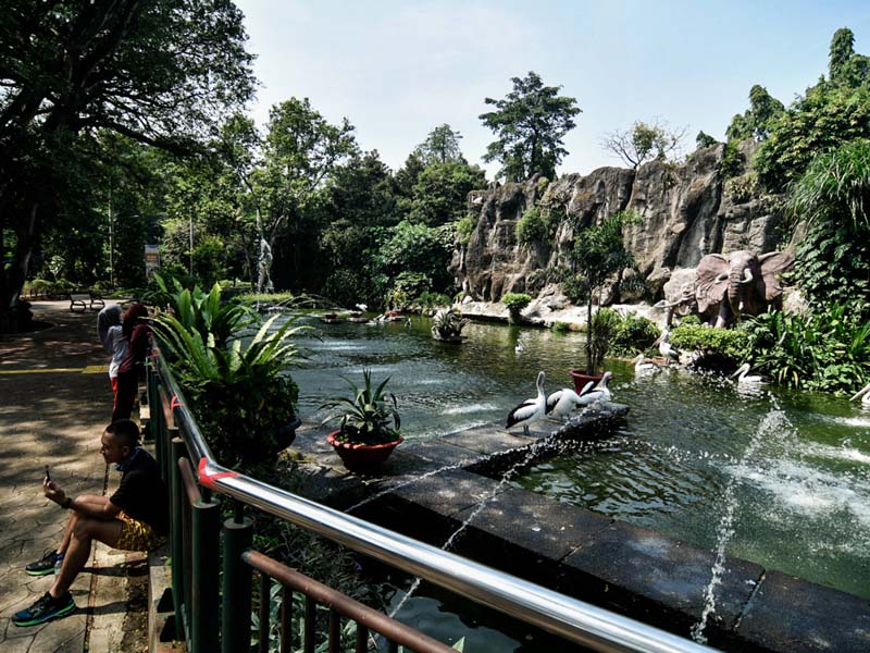 Taman Margasatwa Ragunan Sepi Pengunjung di Hari Libur Idul Adha