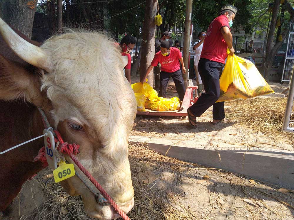 Masjid Istiqlal Potong 36 Hewan Kurban